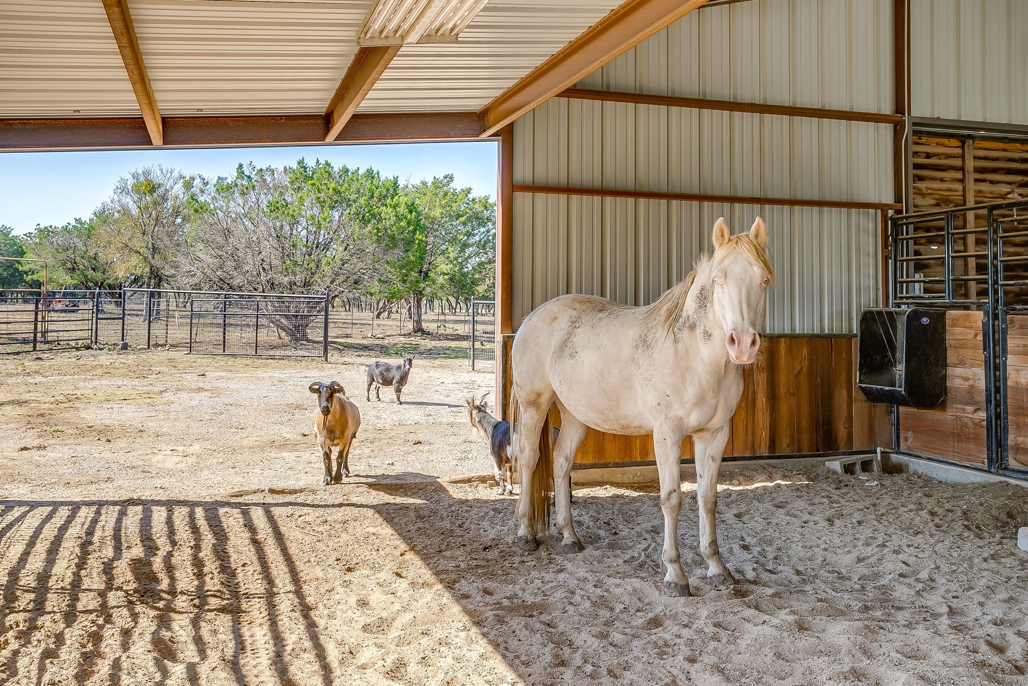 357 Wood Lake Road Aledo TX 76008