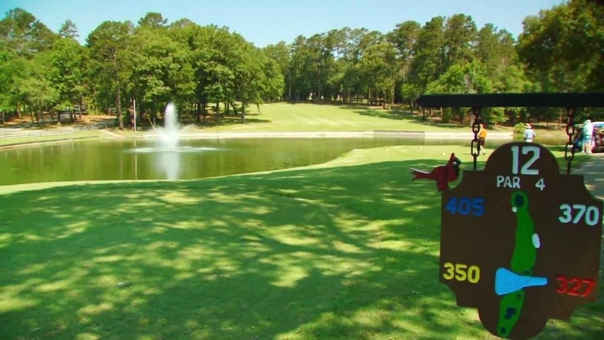 143 Winding Trail Holly Lake Ranch TX 75765