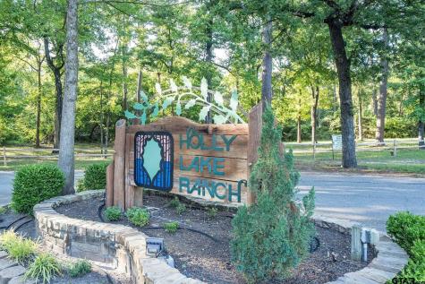 143 Winding Trail Holly Lake Ranch TX 75765