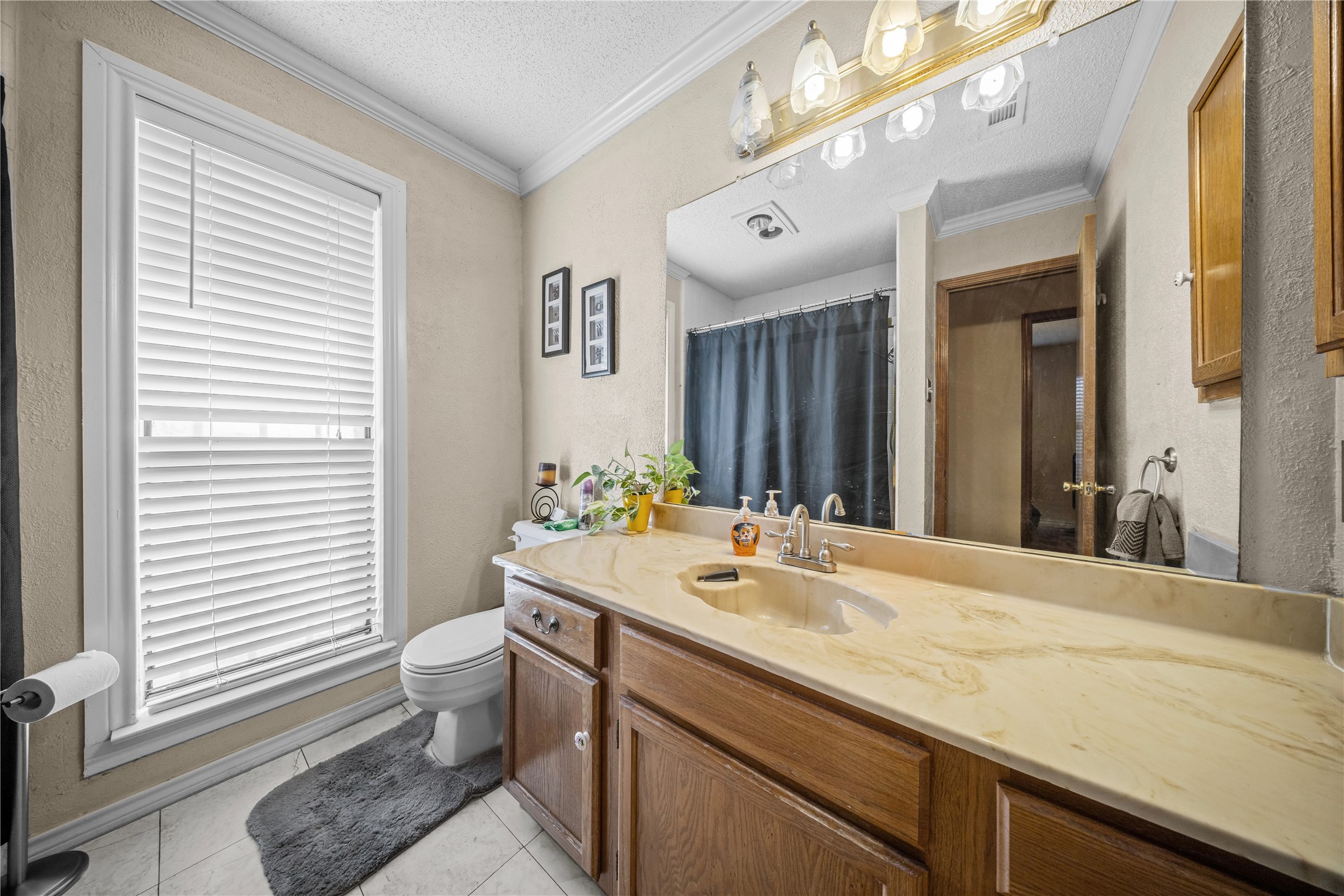 736 Whitewing Drive Mesquite TX 75150