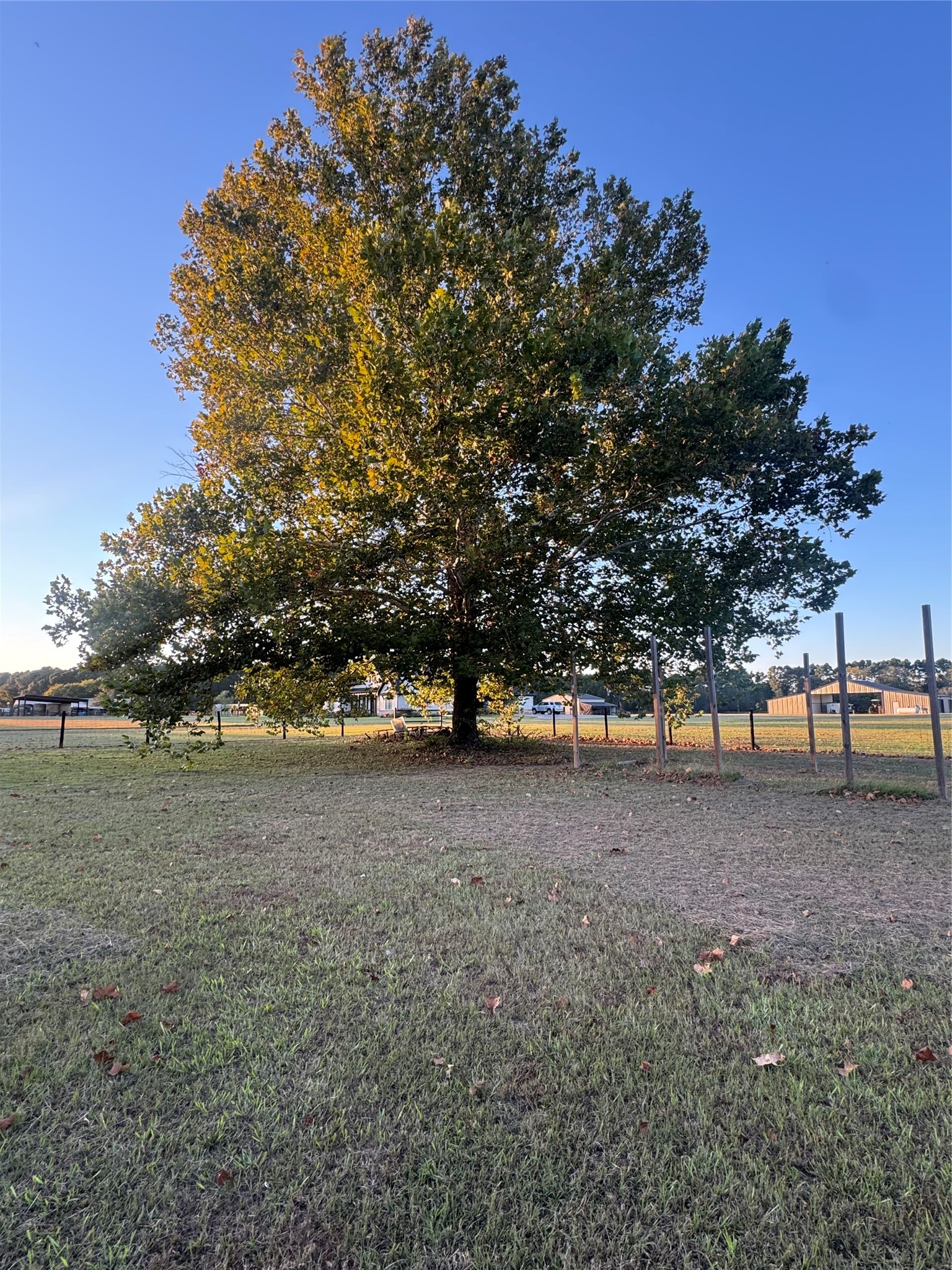 475 Acorn Trail Hallsville TX 75650