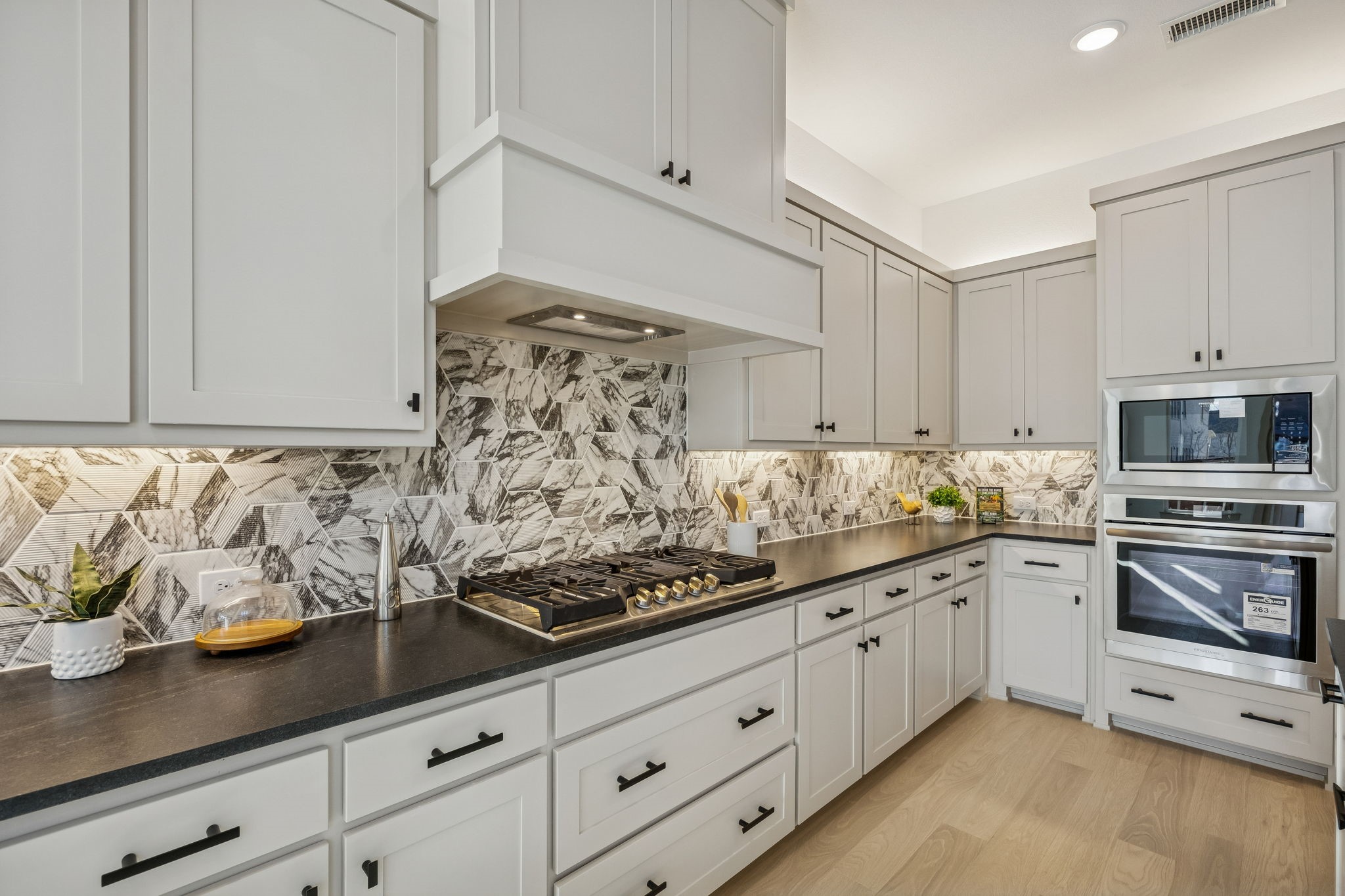 1213 Beebalm Mews Celina TX 75009