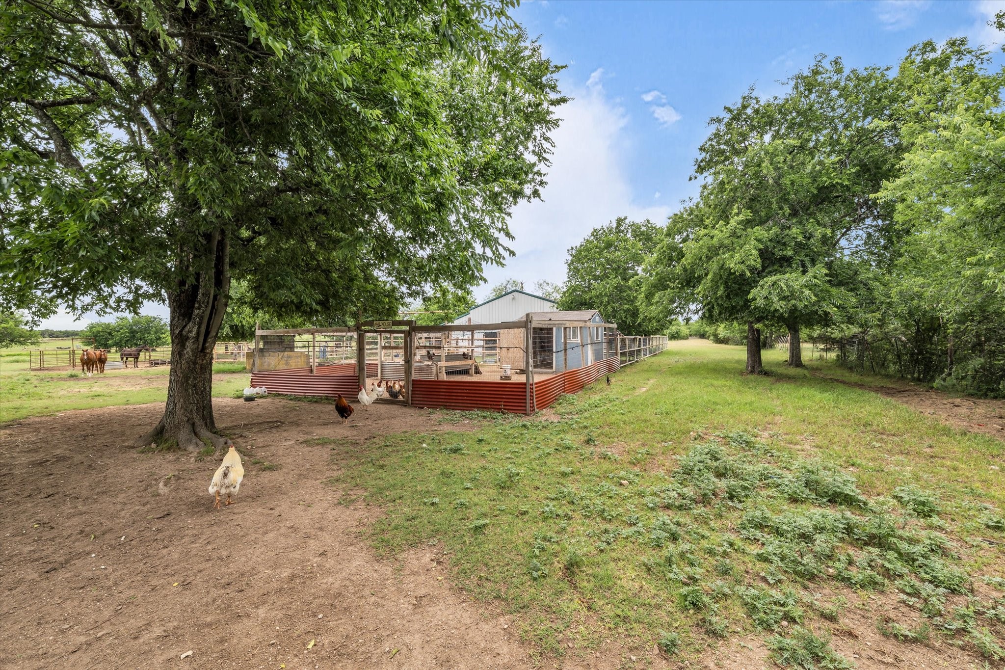 173 County Road 3465 Clifton TX 76634