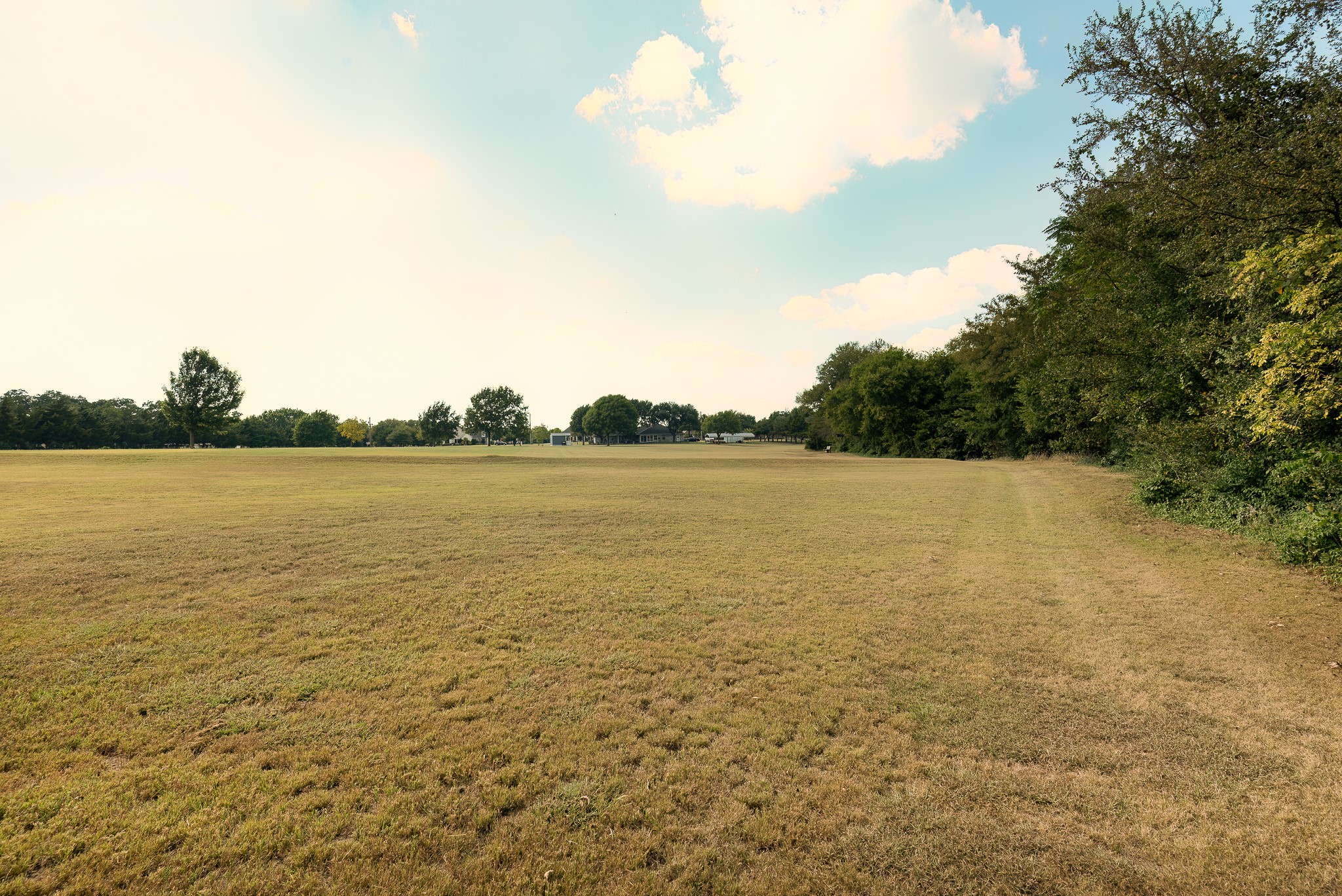 3840 Blackchamp Road Midlothian TX 76065