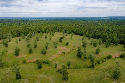 1114 County Road 1512 Jacksonville TX 75766