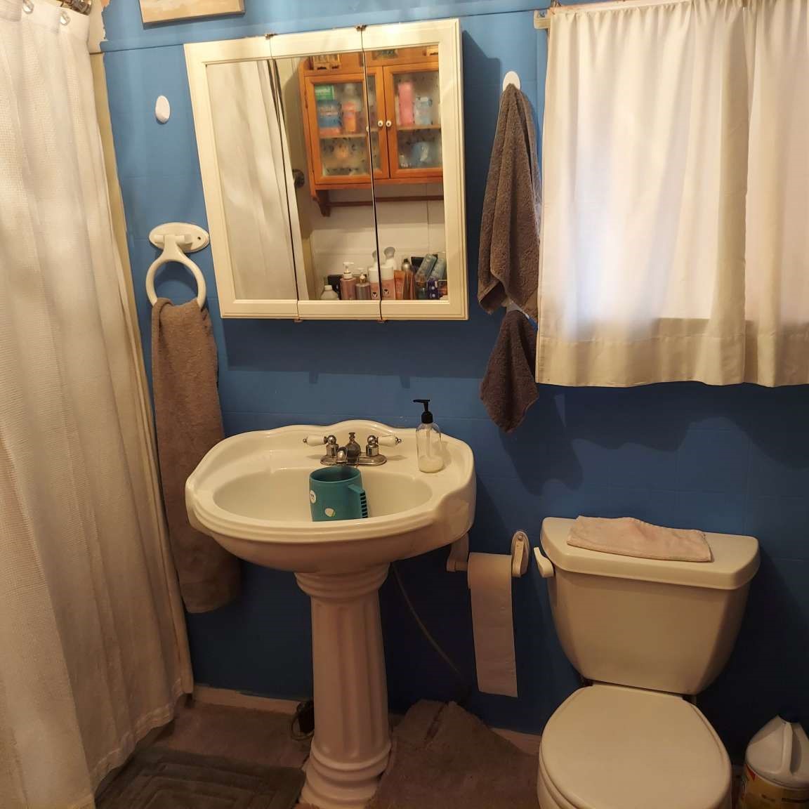 387 Mills Ranch Road Pleasanton TX 78064