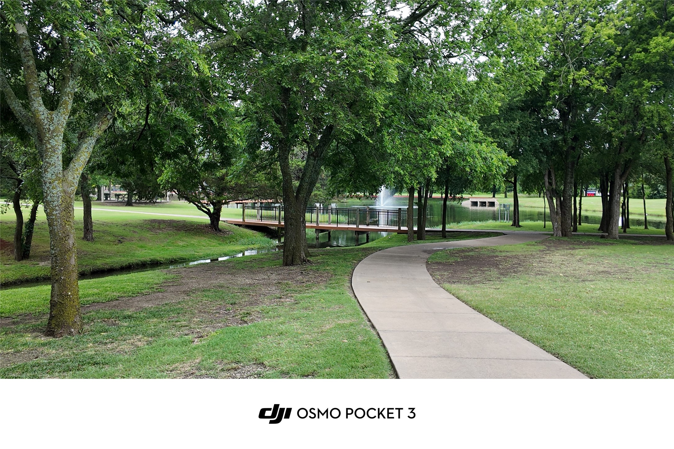 815 Bonnie Court Allen TX 75002
