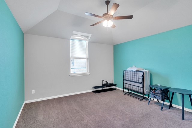 421 Summer Grove Drive Midlothian TX 76065