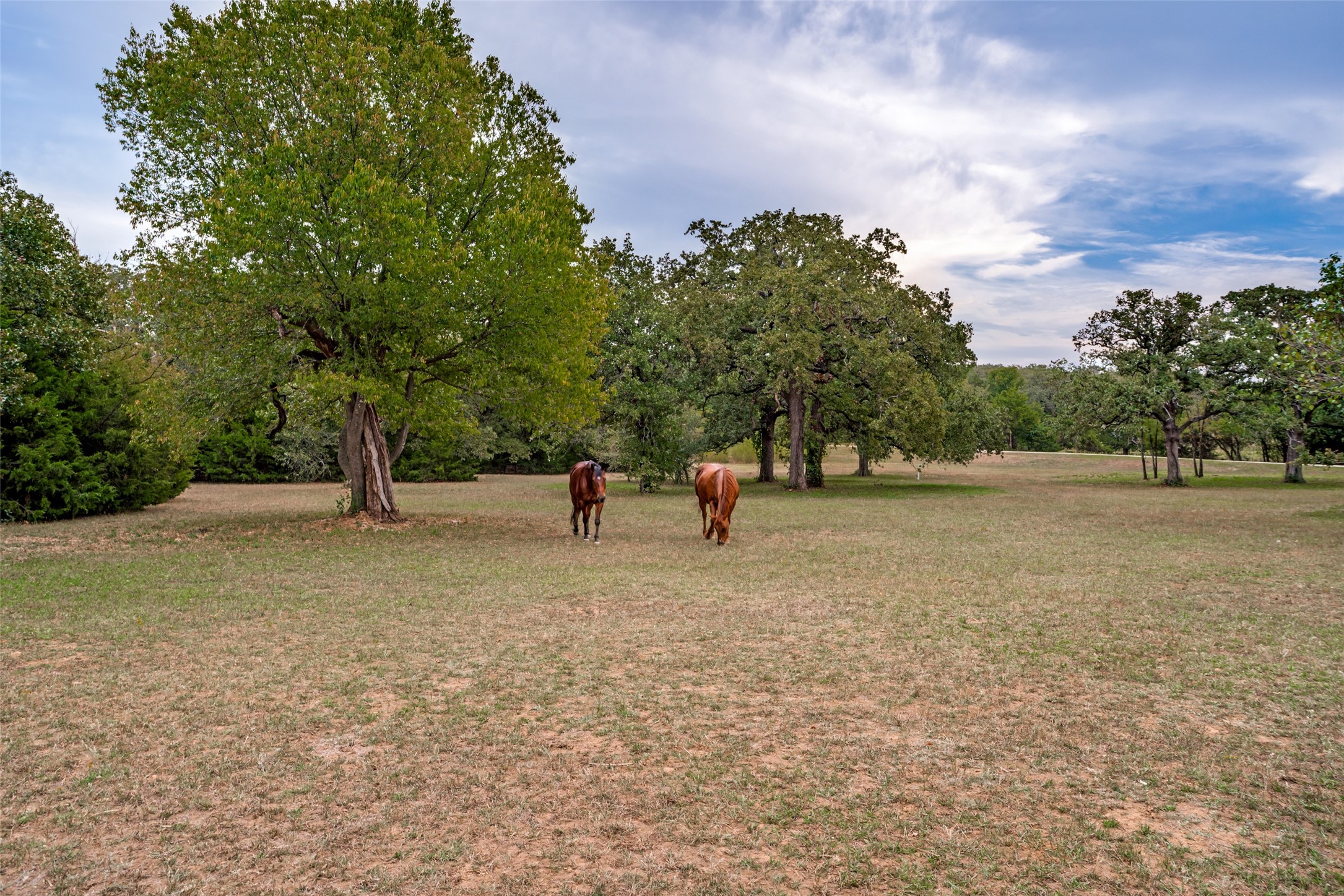 11349 S Fm 372 Valley View TX 76272