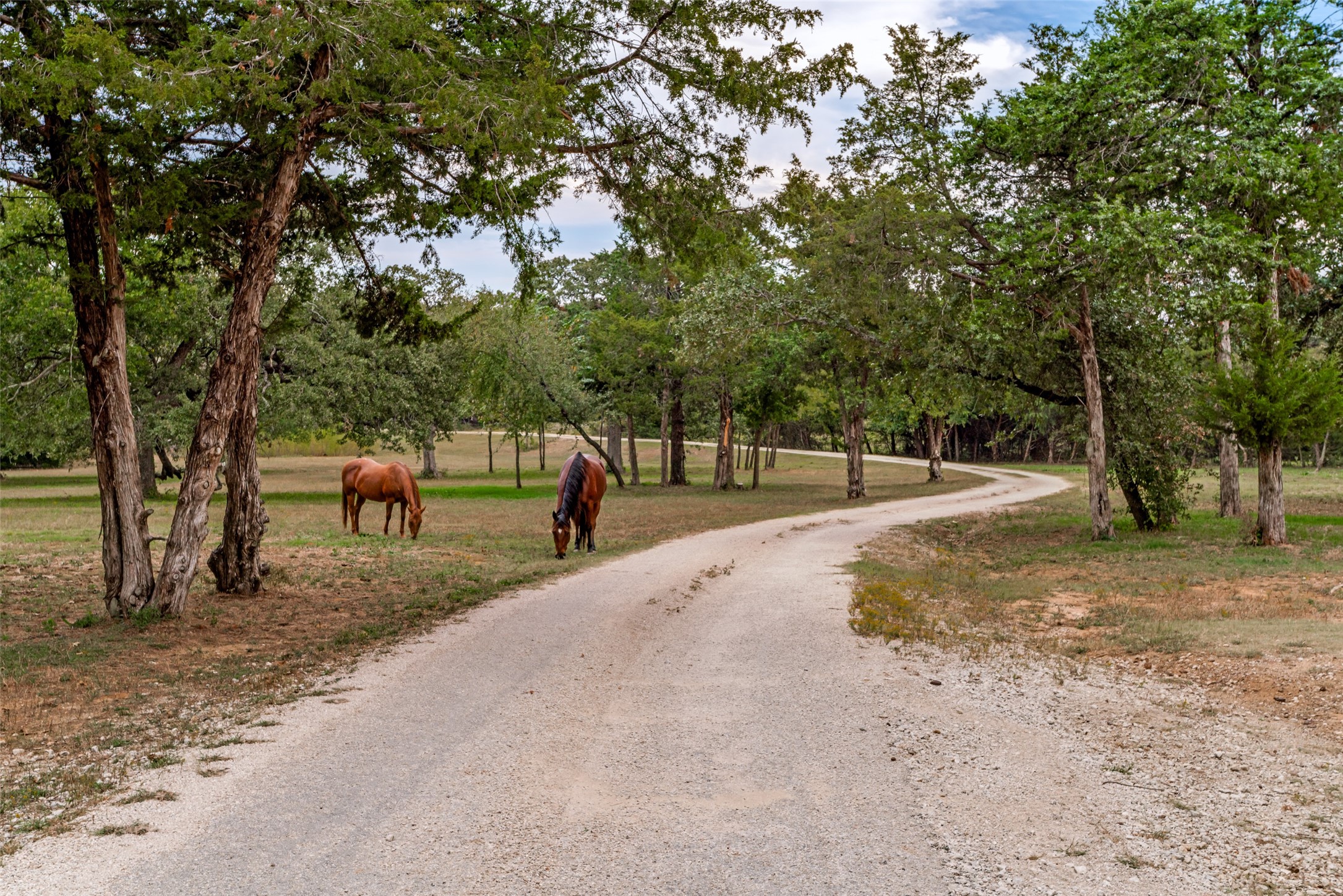 11349 S Fm 372 Valley View TX 76272