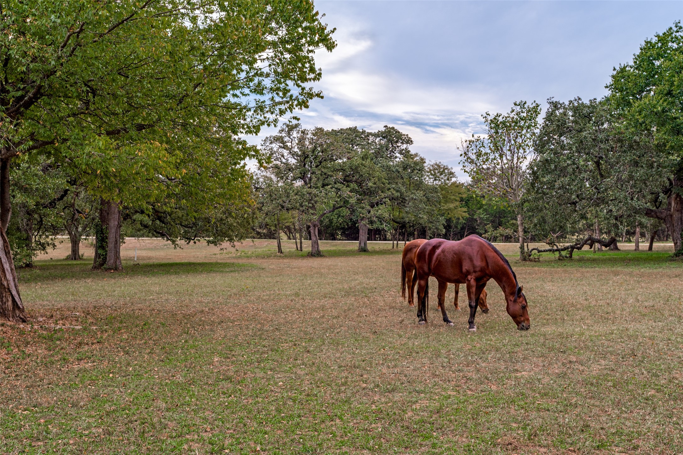11349 S Fm 372 Valley View TX 76272