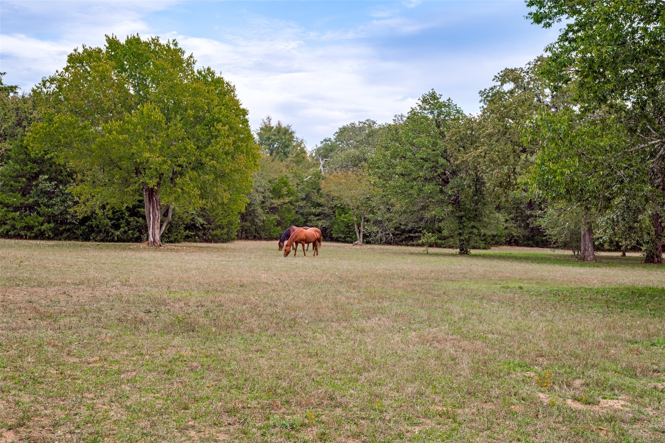 11349 S Fm 372 Valley View TX 76272