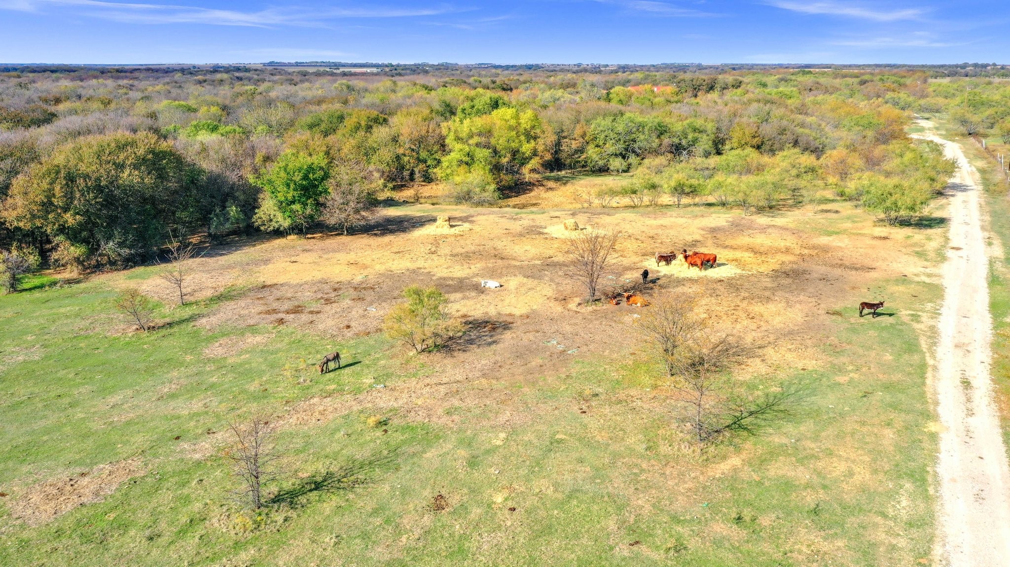 14771 Shearer Road Pilot Point TX 76258