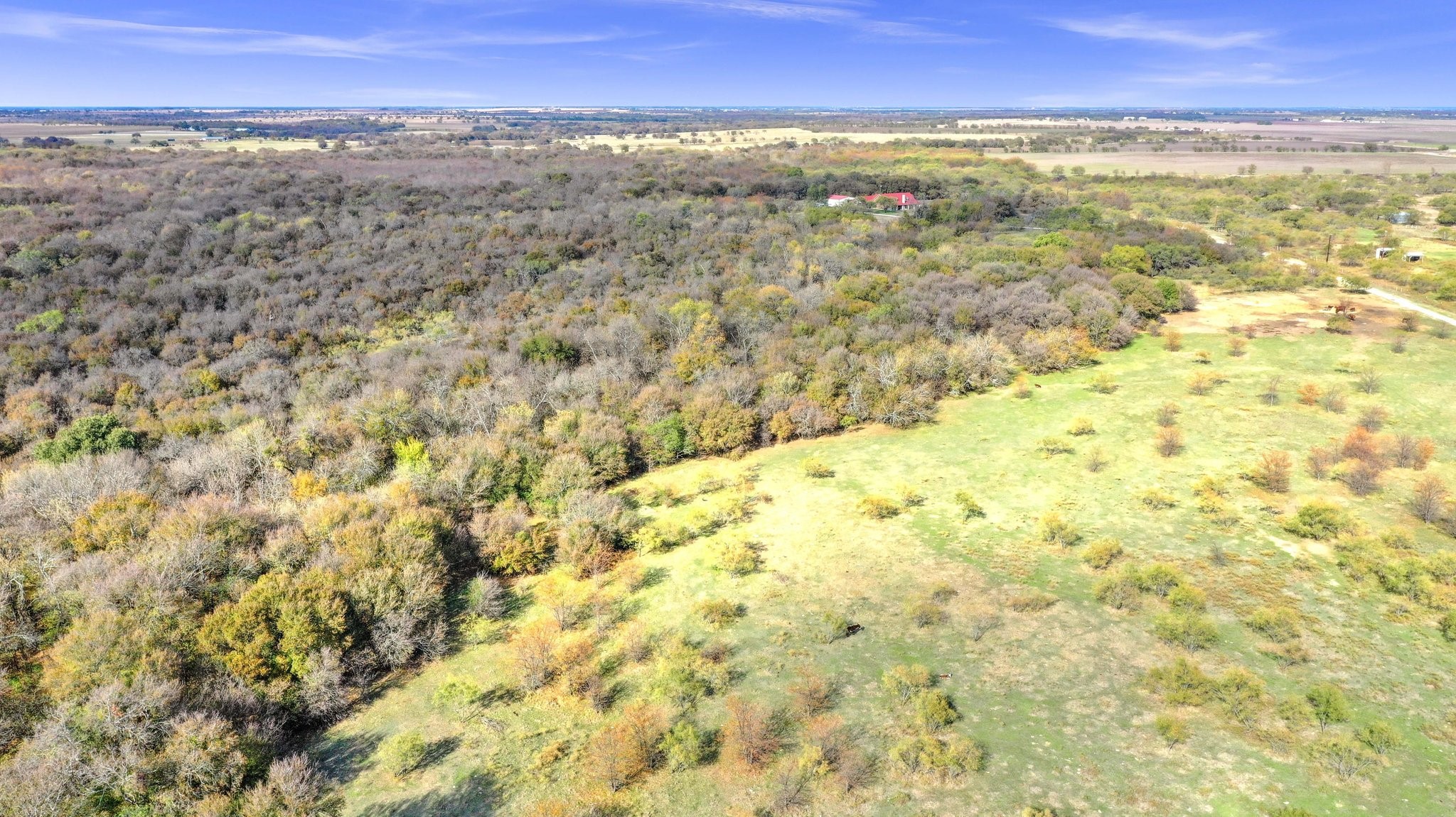 14771 Shearer Road Pilot Point TX 76258