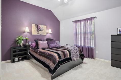 270 Chestnut Court Coppell TX 75019