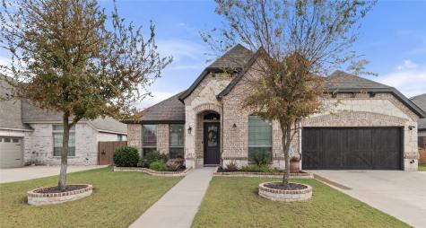 718 Indian Blanket Drive Midlothian TX 76065