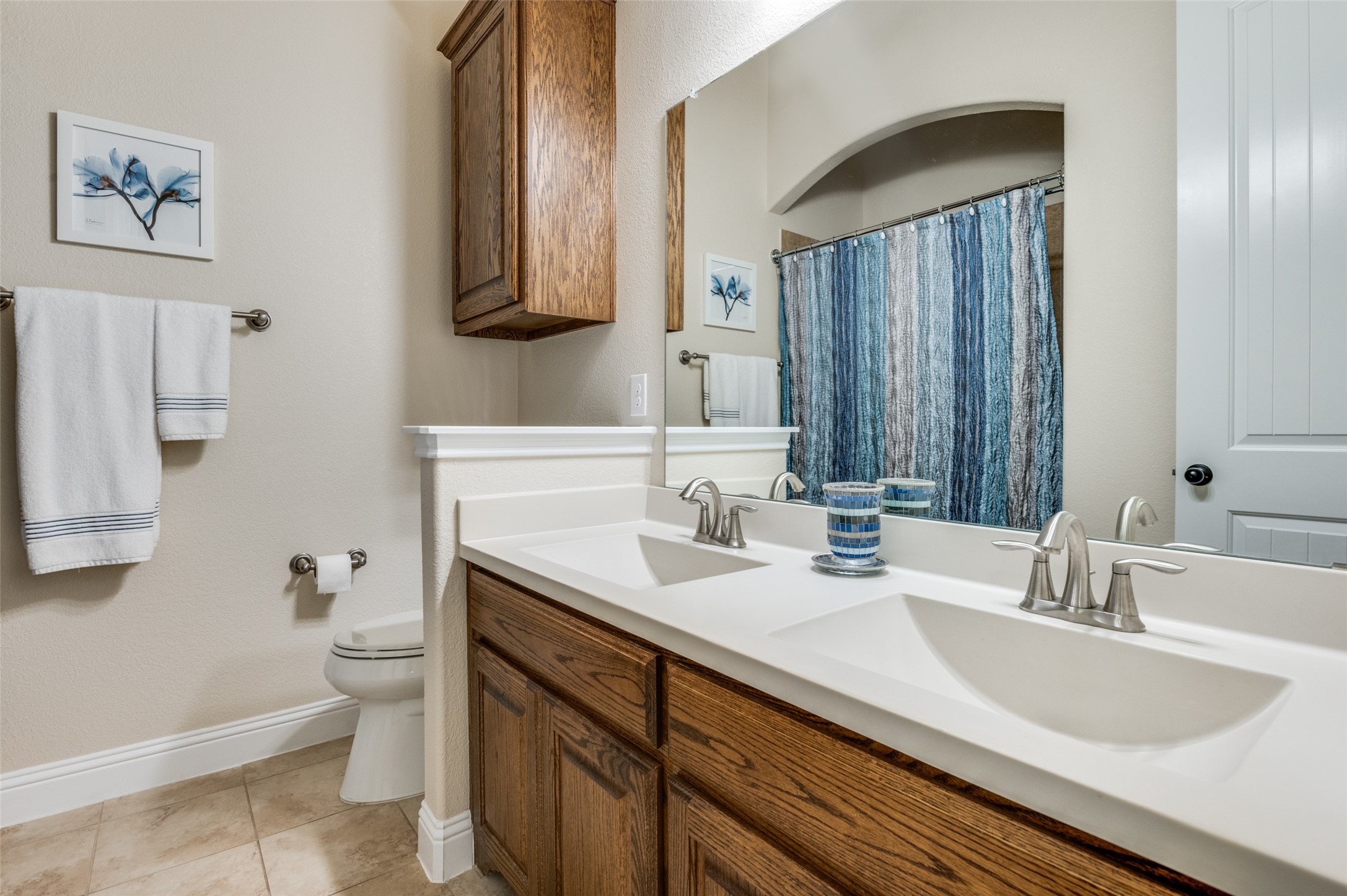 1007 Ivy Charm Way Arlington TX 76005
