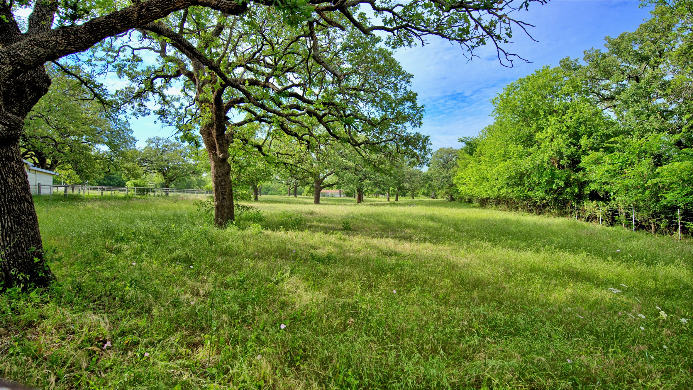 201 Croxton Street Nocona TX 76255