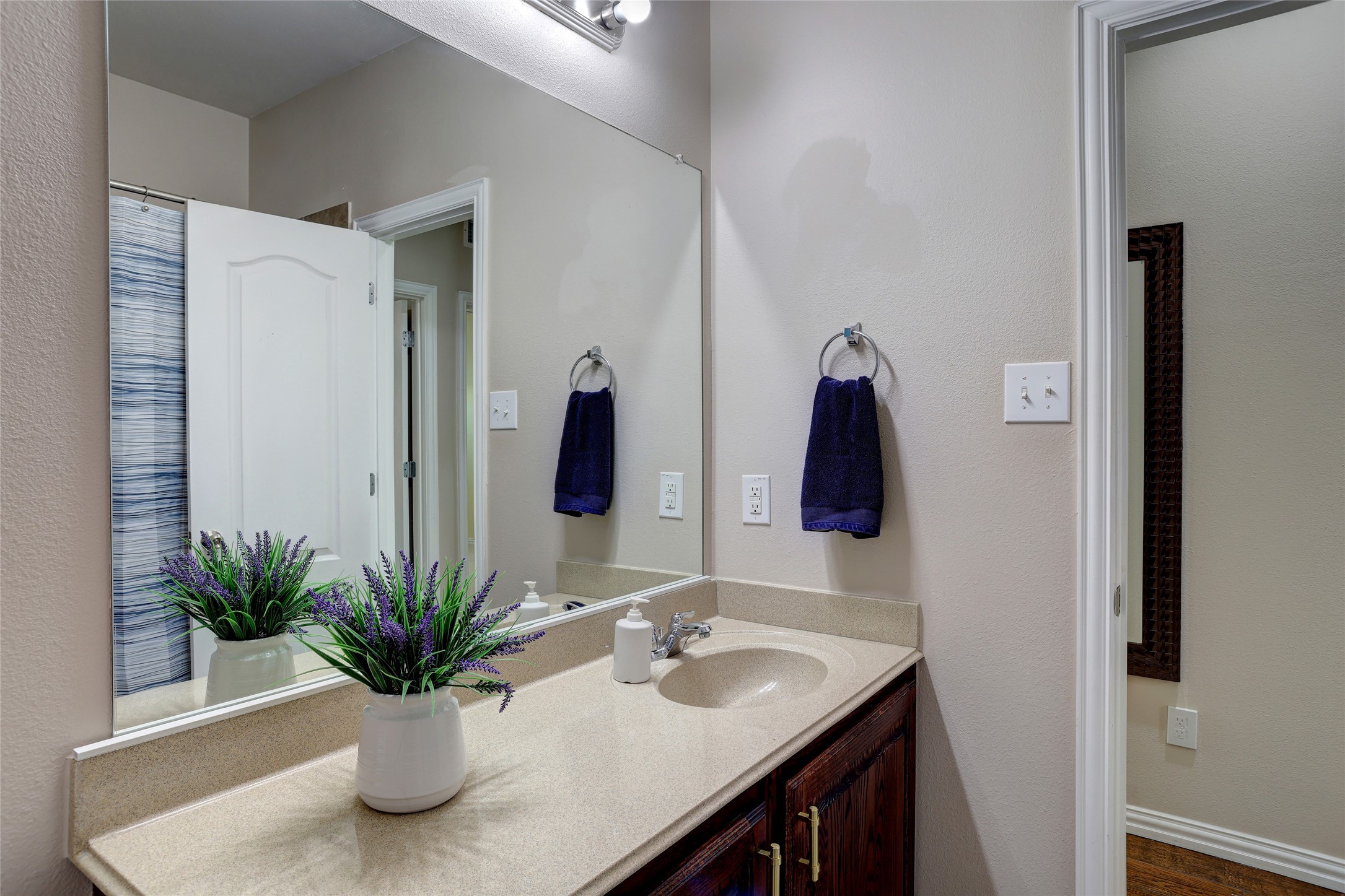 12209 Knots Lane Frisco TX 75036