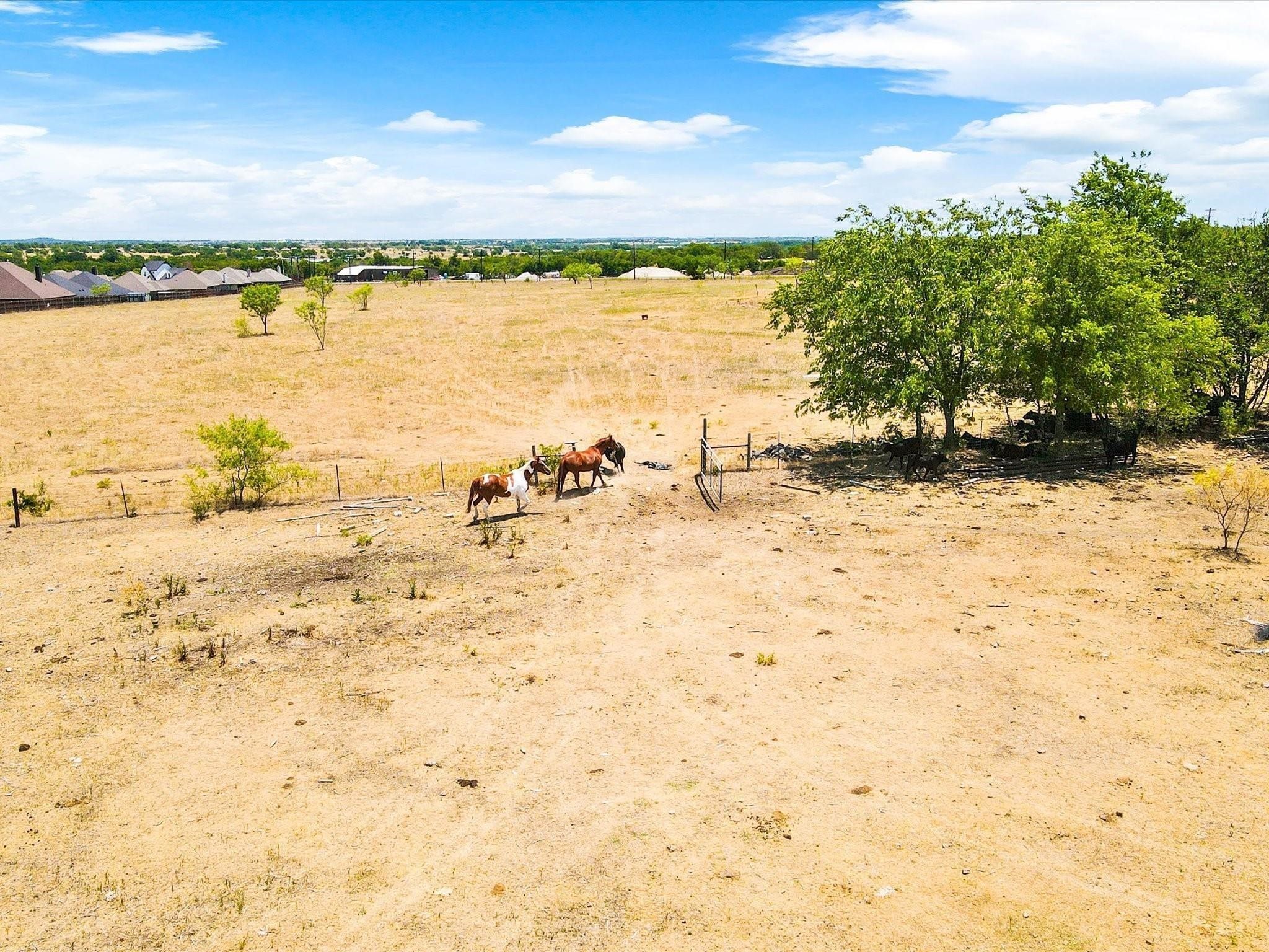 9501 Fm 2331 Godley TX 76044