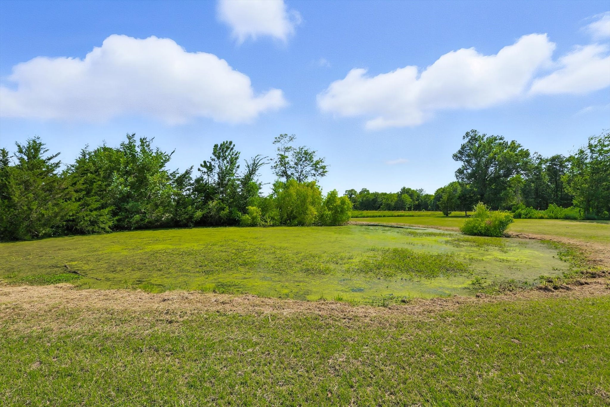 400 Katy Street Alba TX 75410