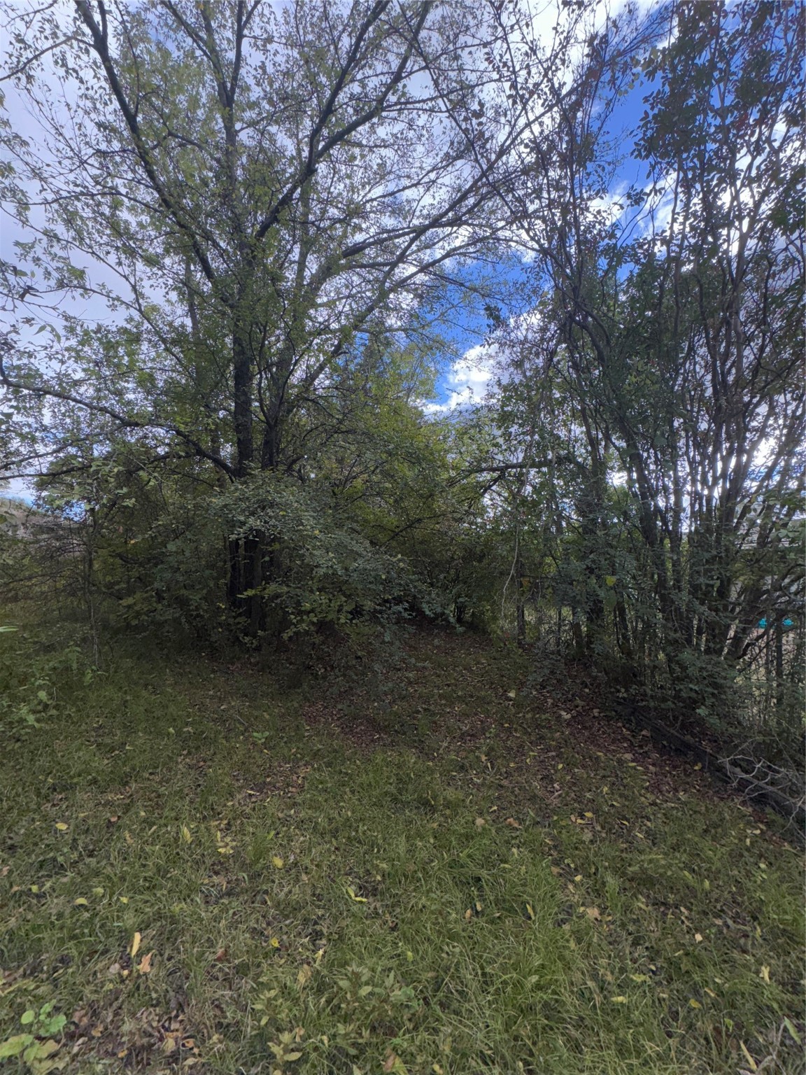 14 Geraldine Lane Denison TX 75020