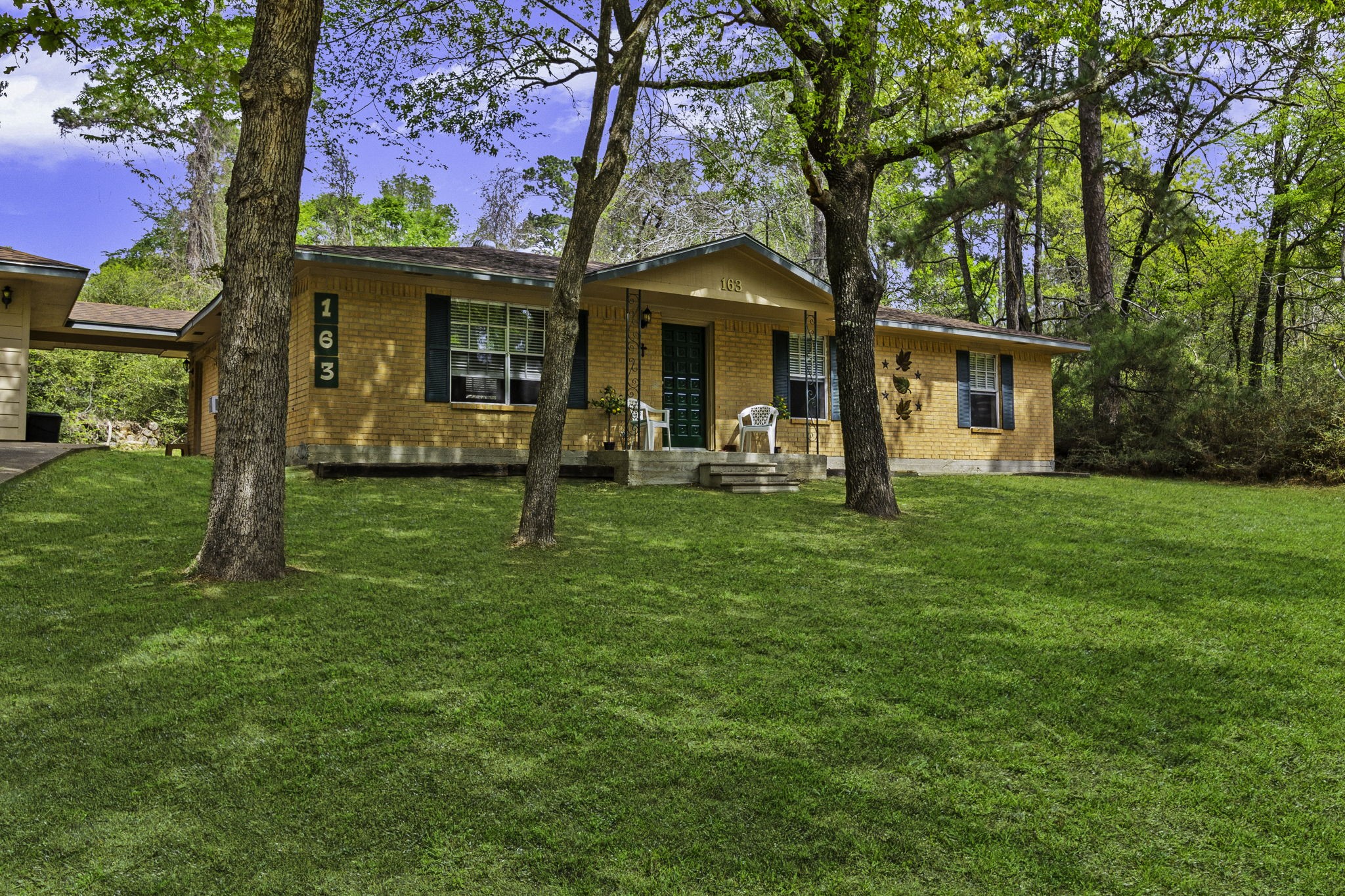 163 Westwood Drive E Trinity TX 75862