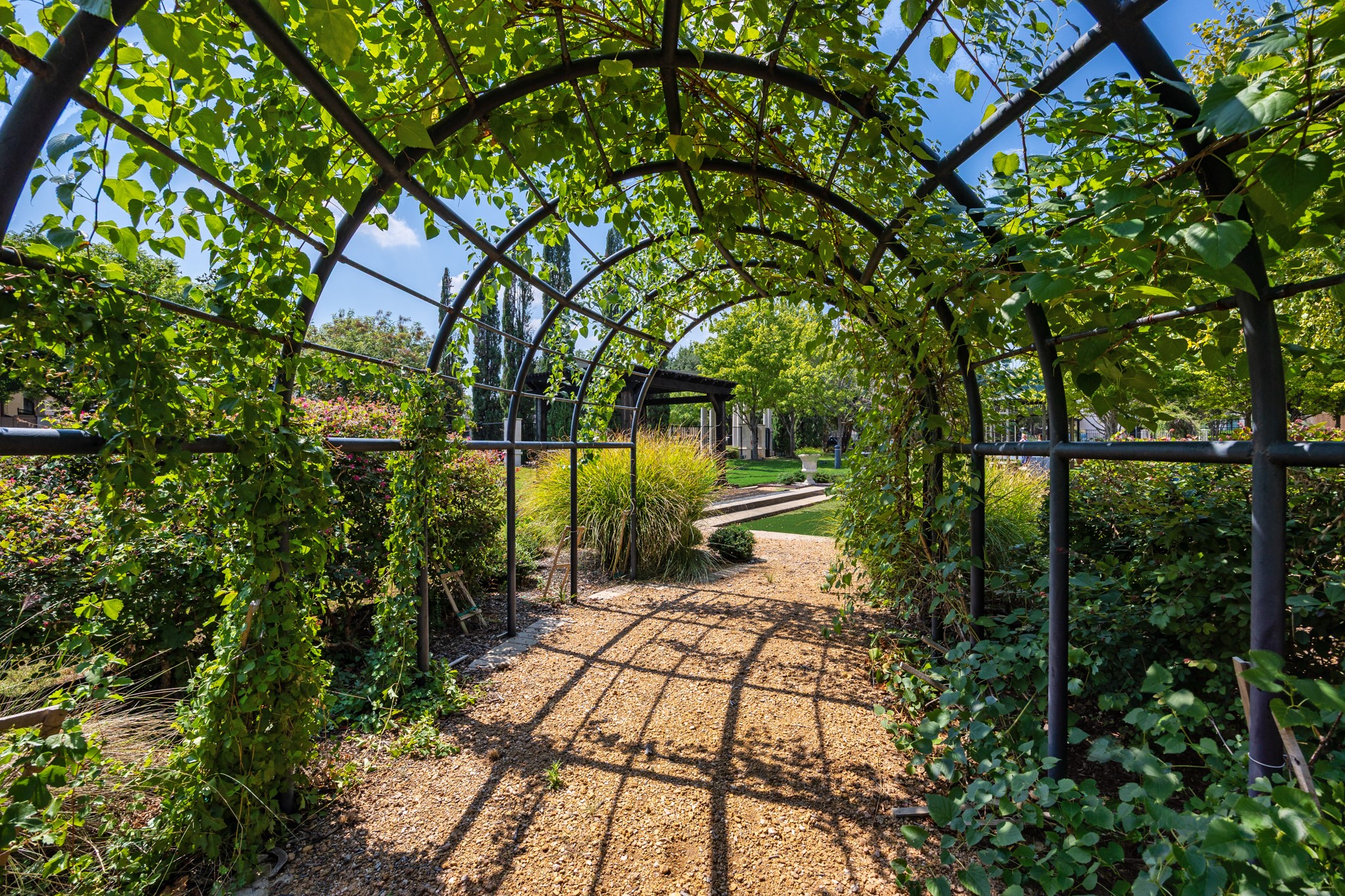 5728 Cognac Street Plano TX 75024