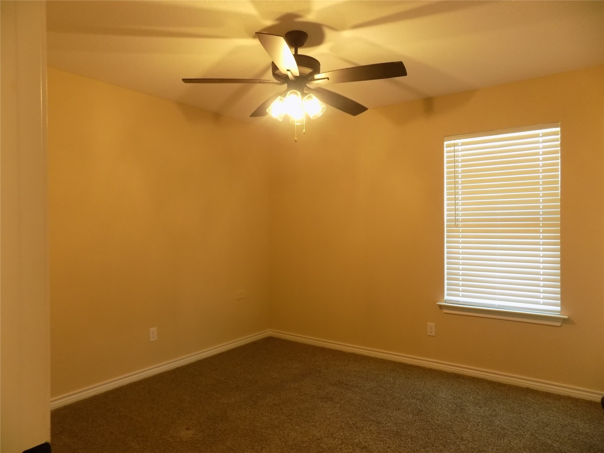 506 Pecan Tree Court Poolville TX 76487