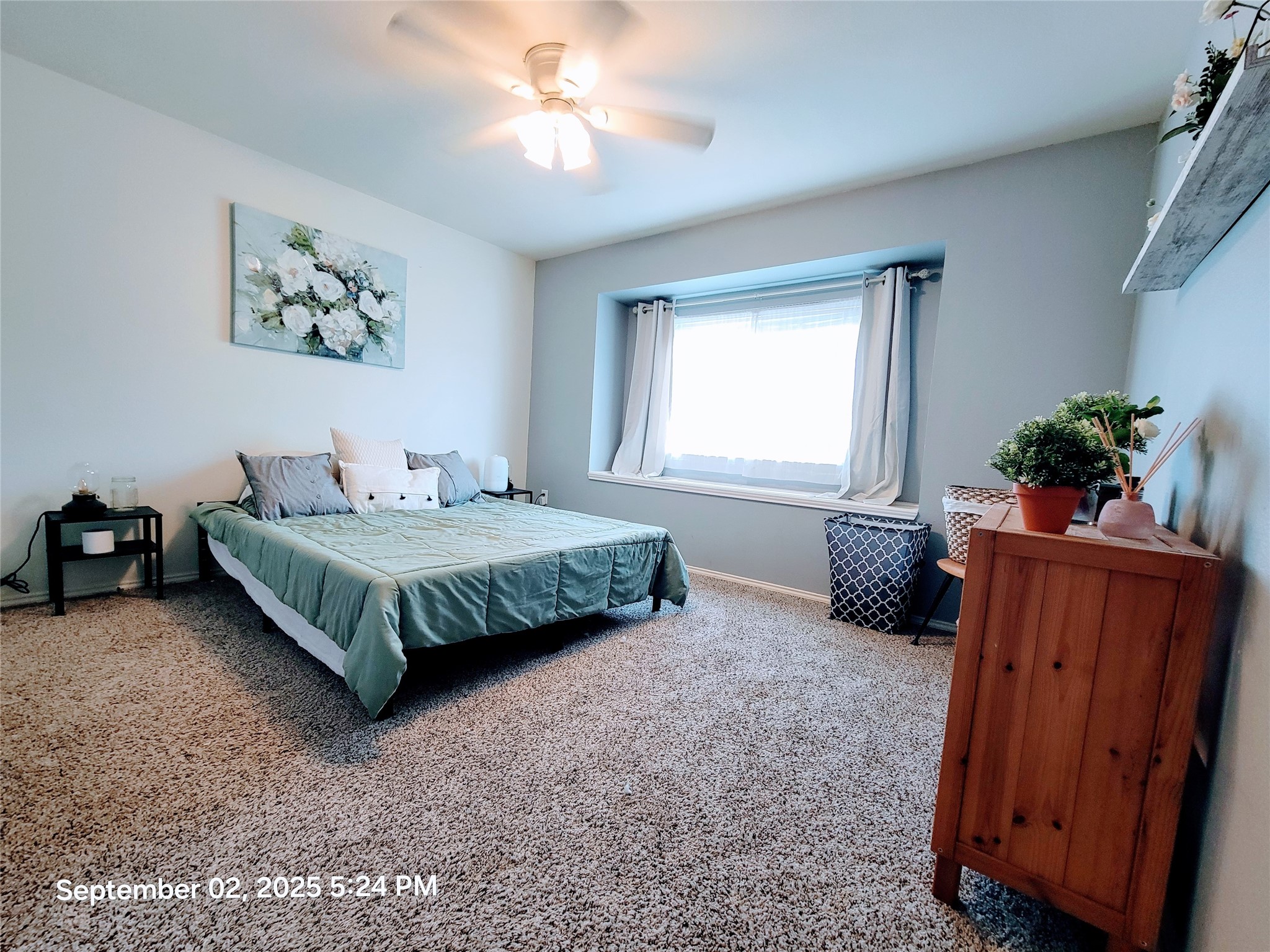 244 Brookdale Drive Little Elm TX 75068