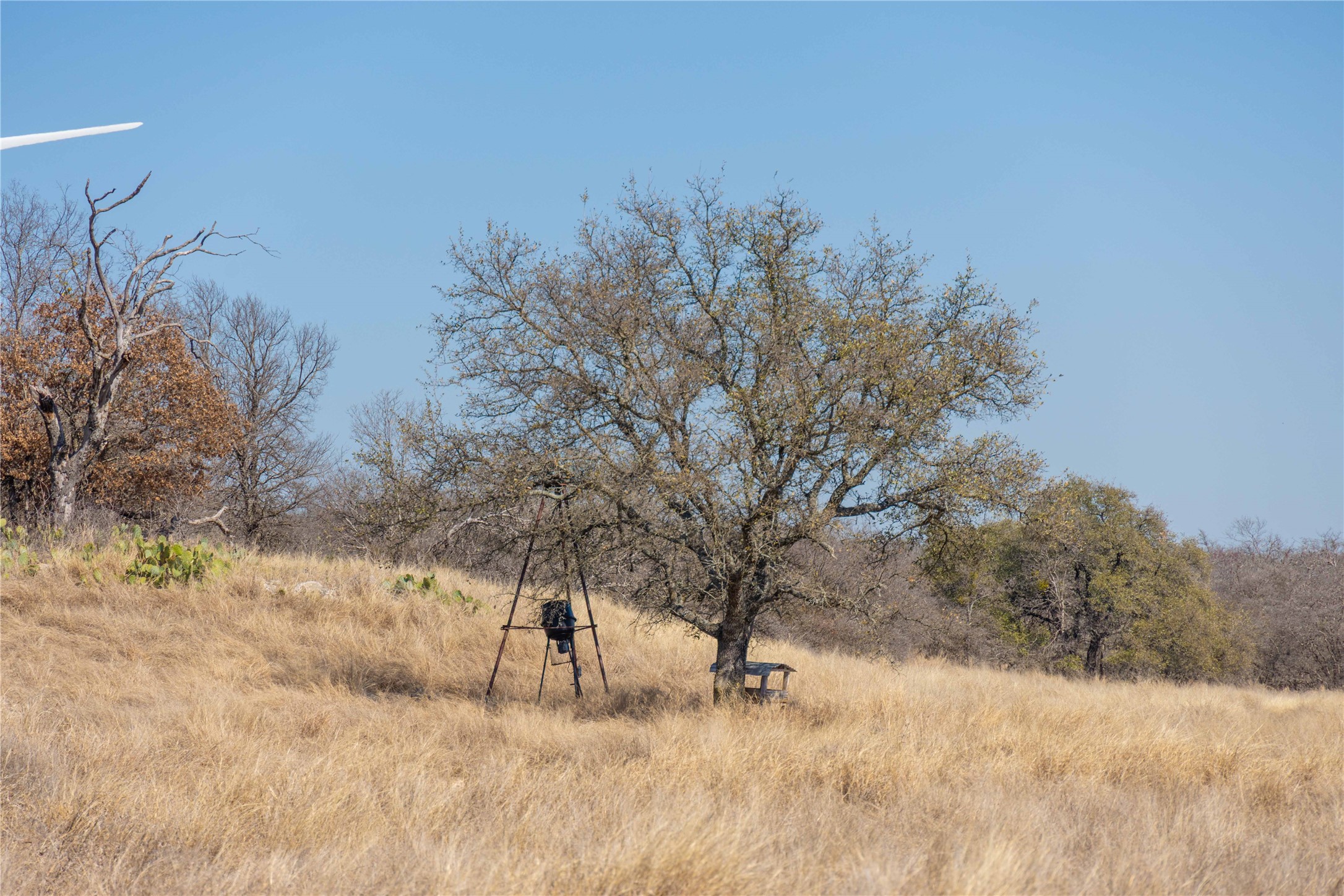 194 County Road 214 Goldthwaite TX 76844