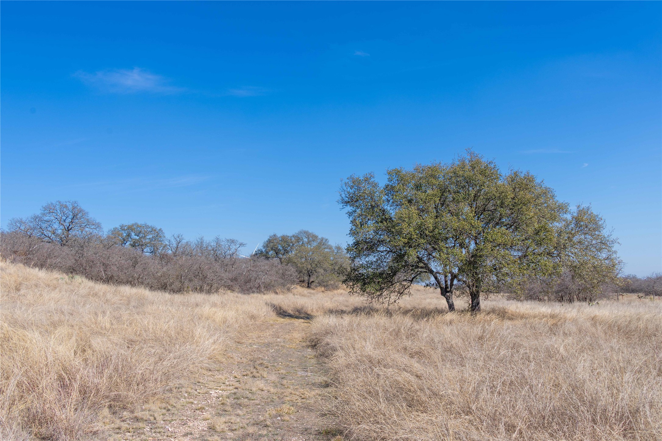 194 County Road 214 Goldthwaite TX 76844