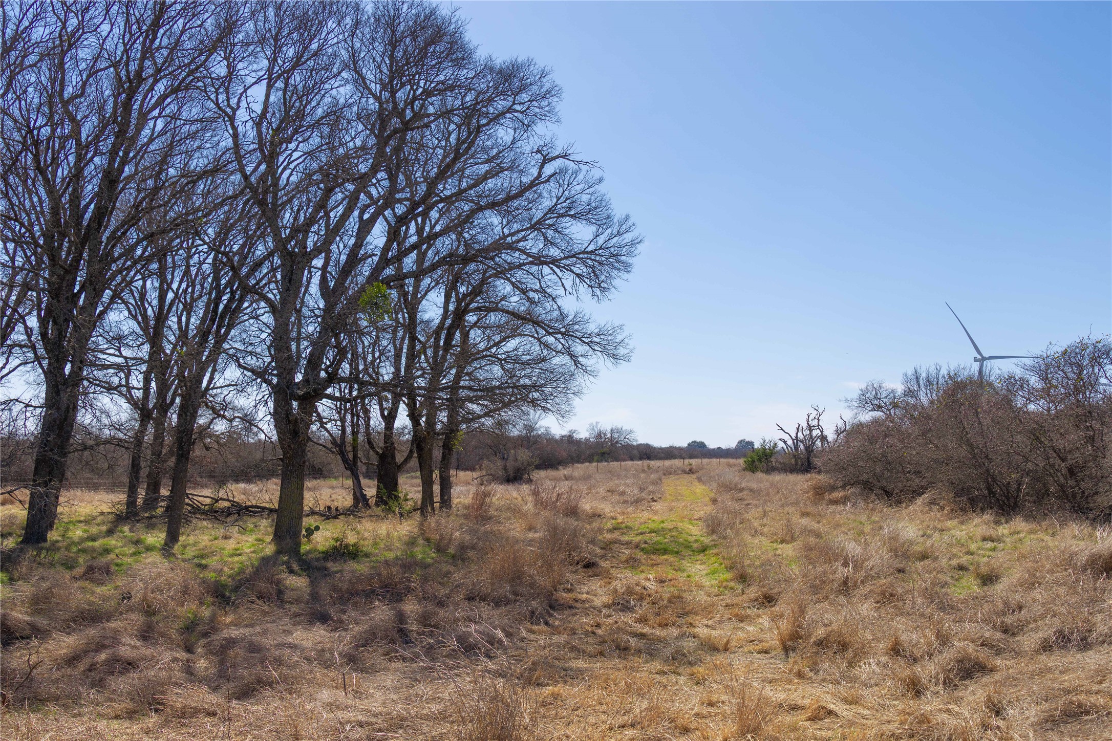 194 County Road 214 Goldthwaite TX 76844