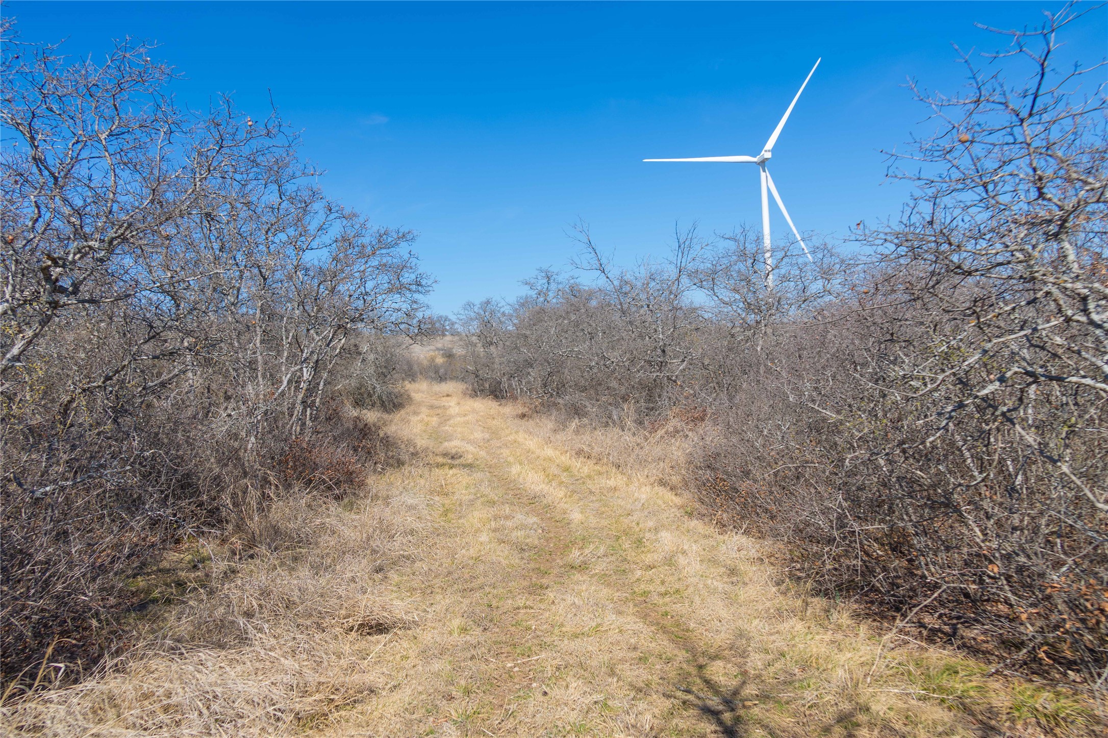 194 County Road 214 Goldthwaite TX 76844