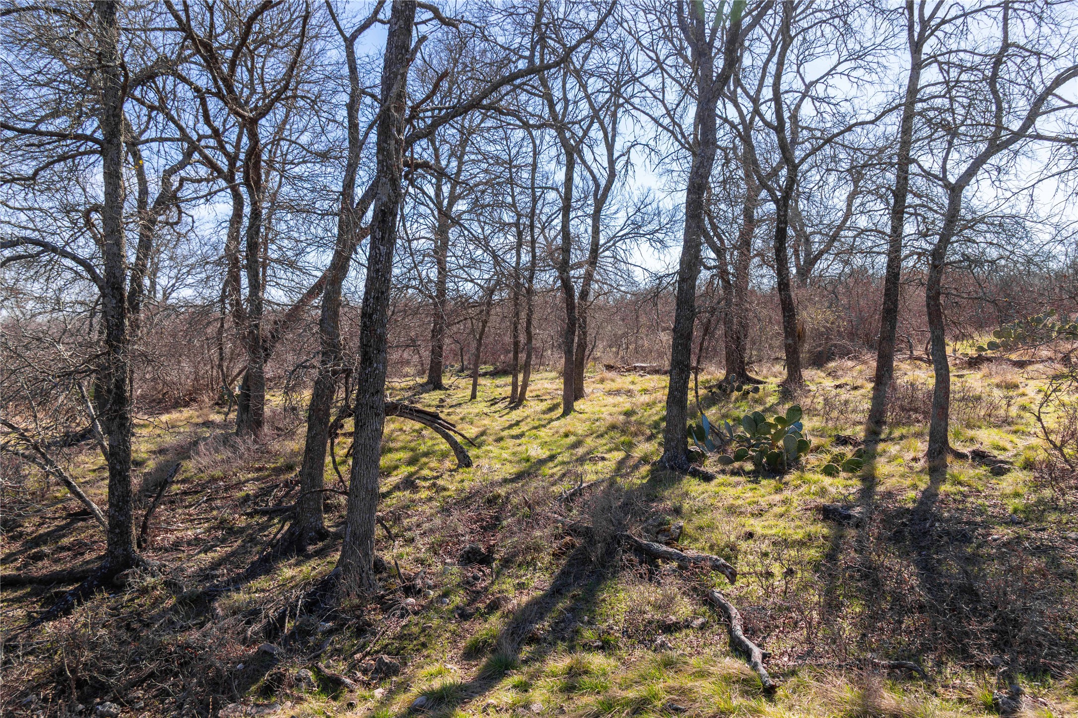 194 County Road 214 Goldthwaite TX 76844