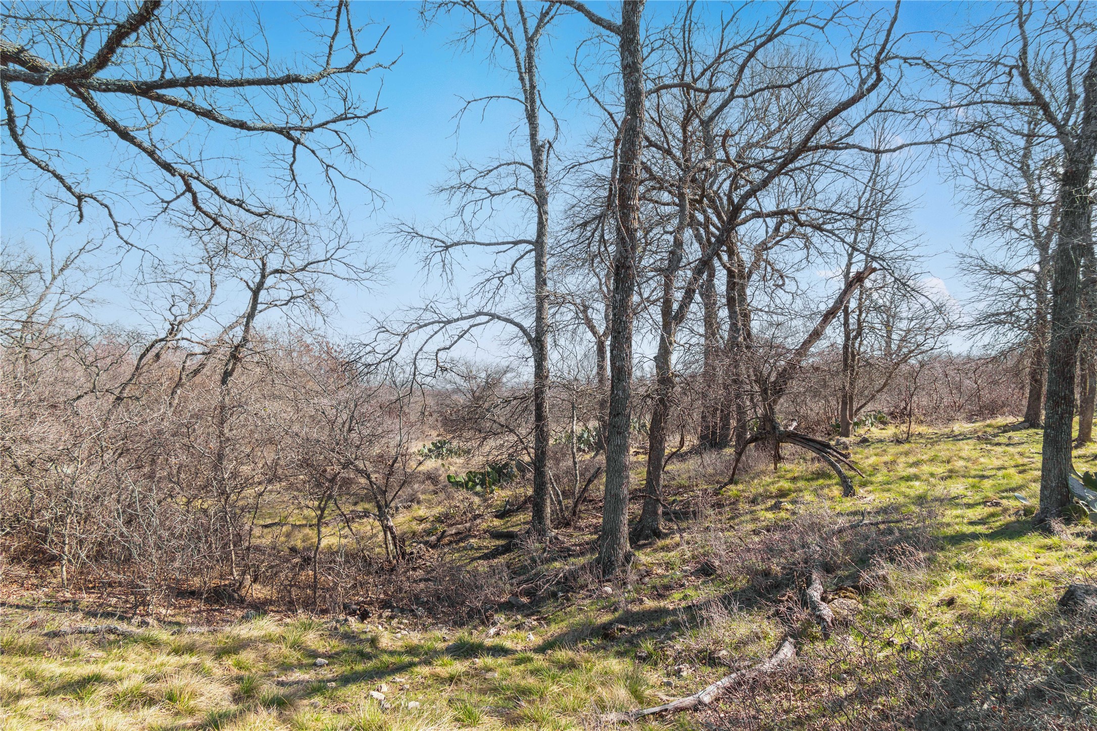 194 County Road 214 Goldthwaite TX 76844