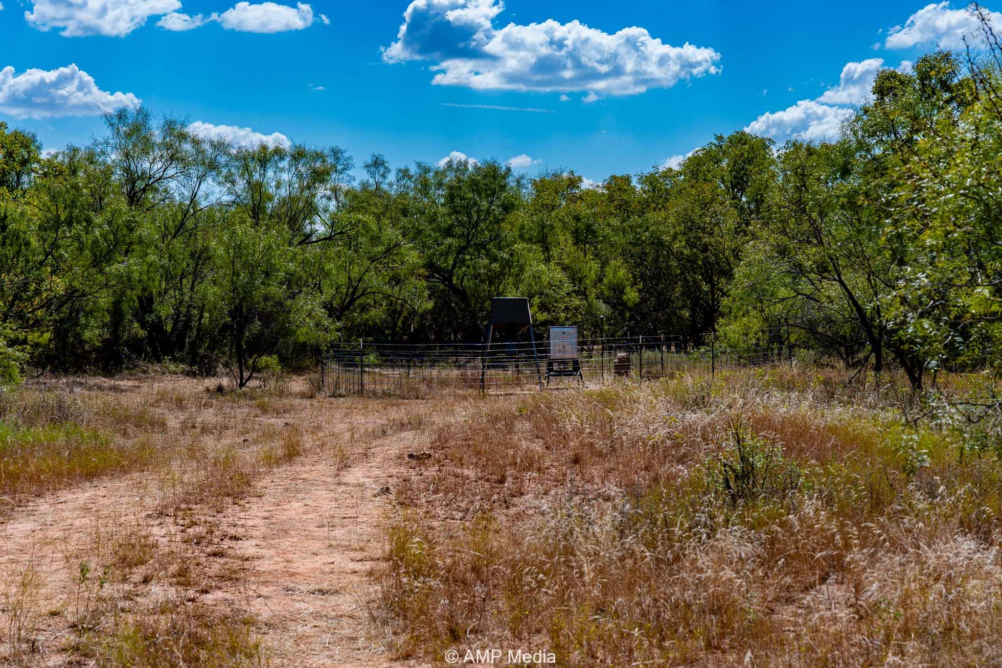 4538 County Road 463 Rule TX 79547
