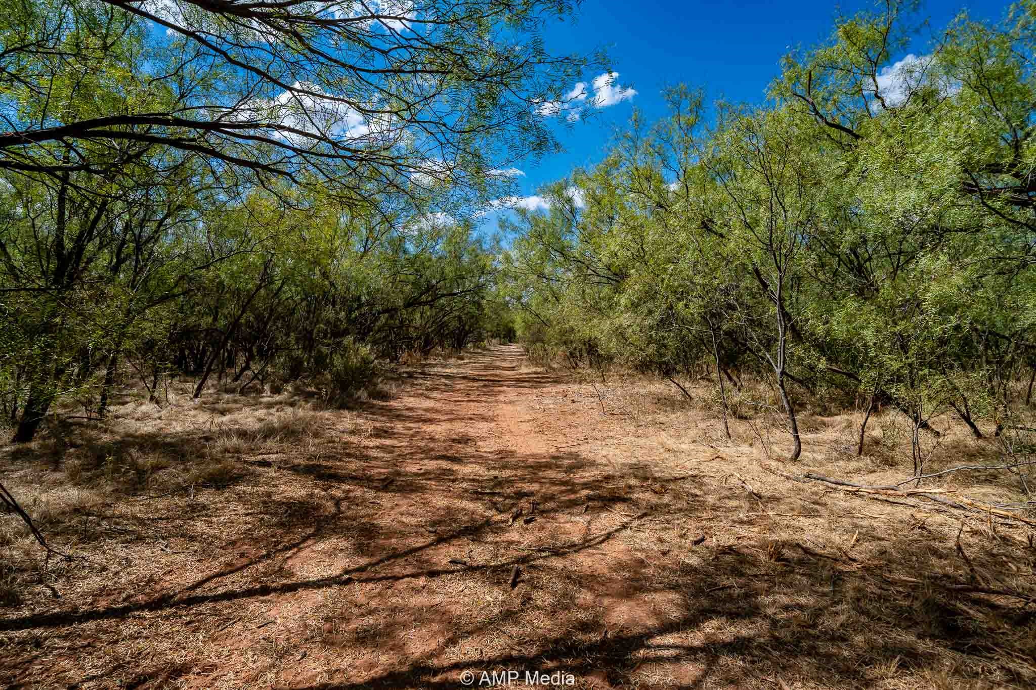 4538 County Road 463 Rule TX 79547