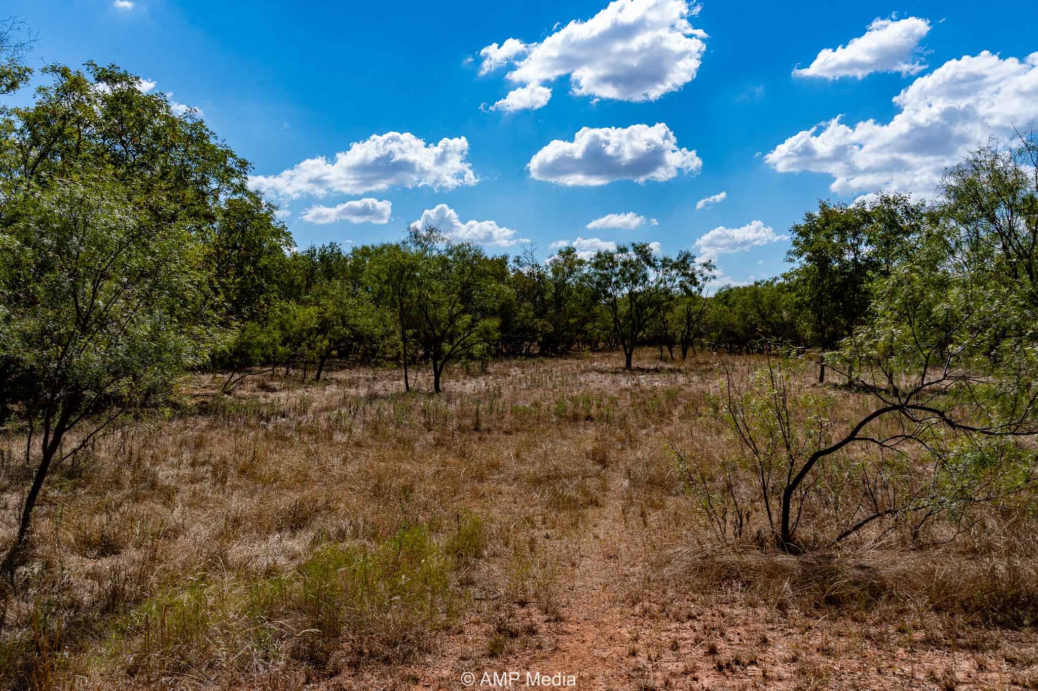 4538 County Road 463 Rule TX 79547