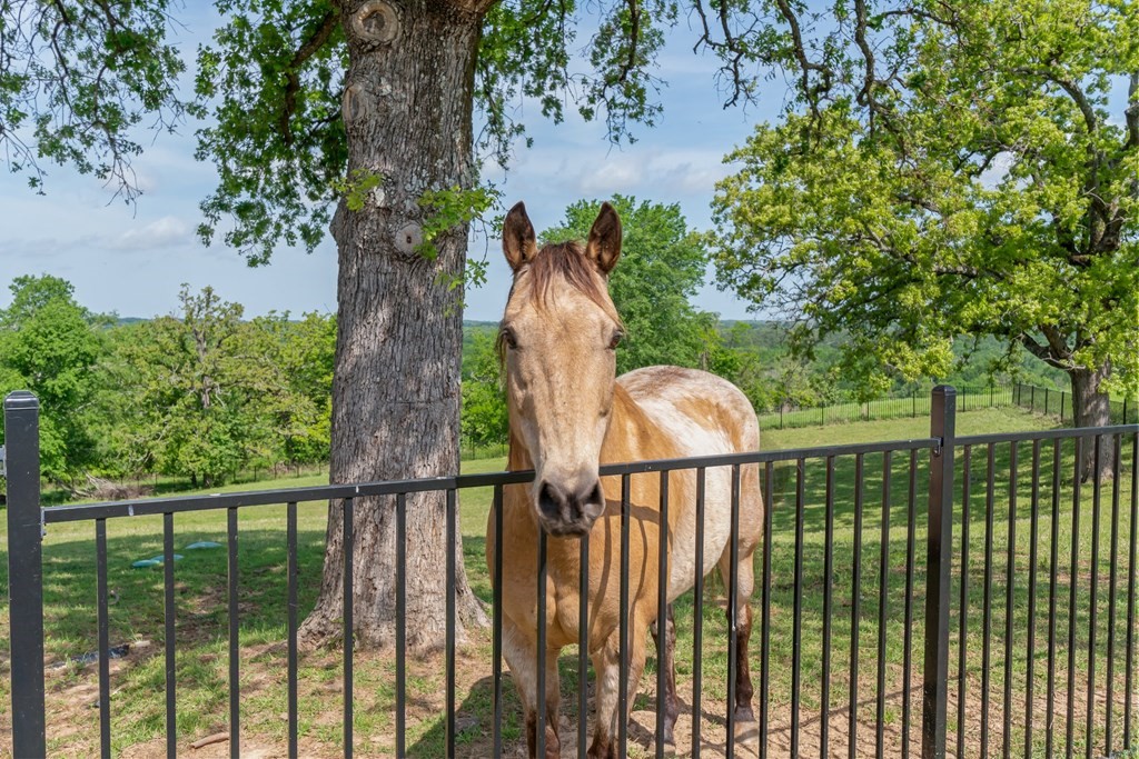 6364 Overlook Point Athens TX 75752