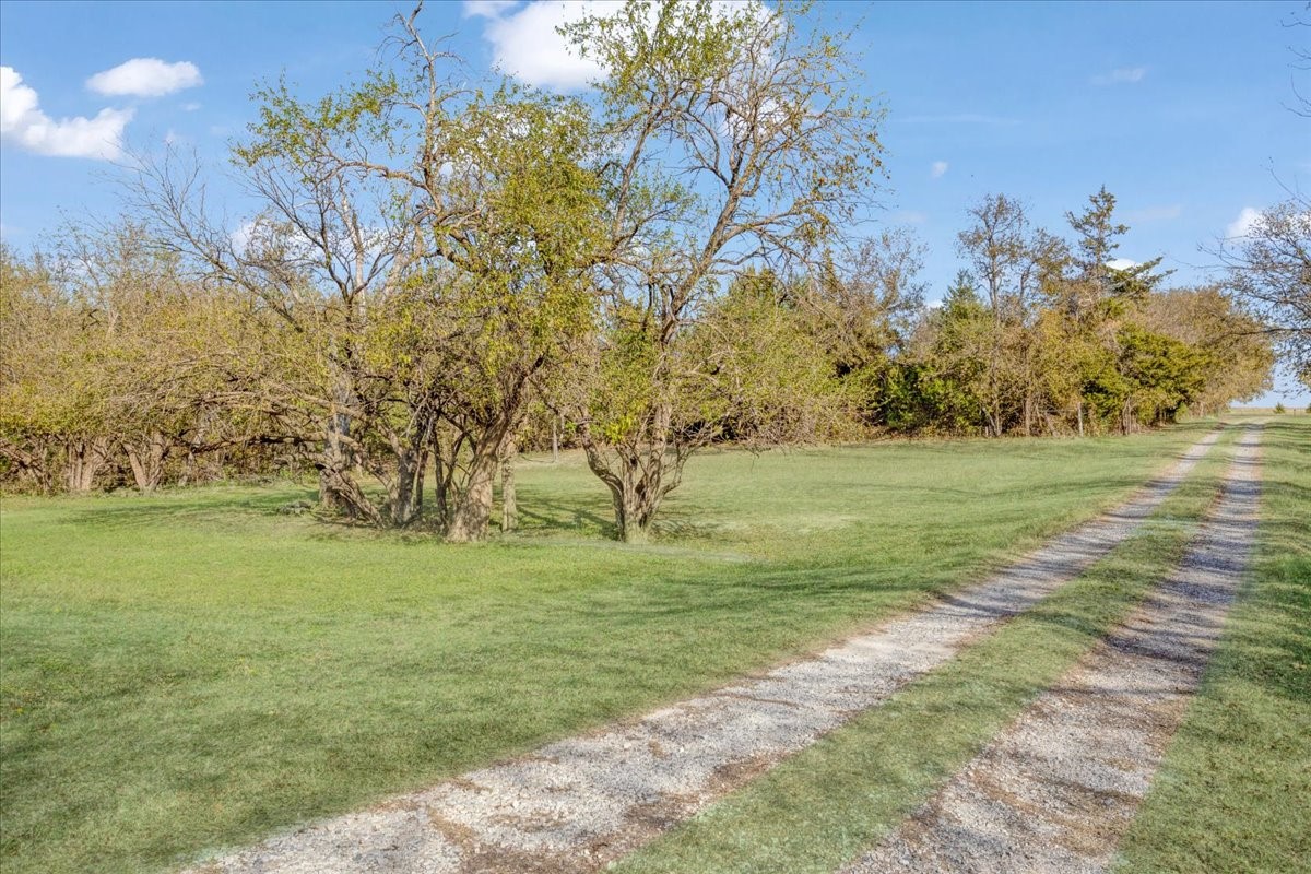 567 Celtic Howe TX 75459