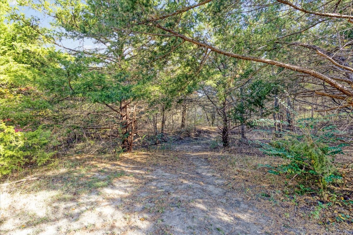 567 Celtic Howe TX 75459