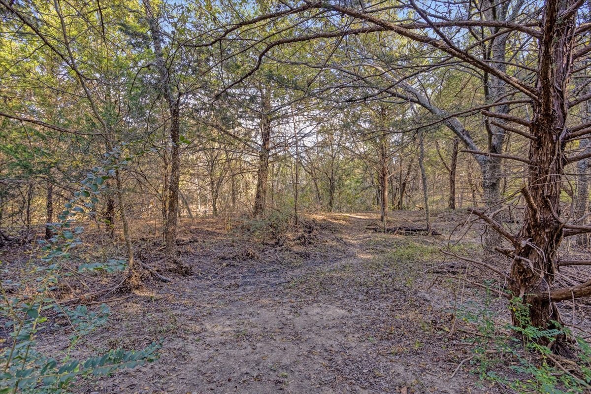 567 Celtic Howe TX 75459