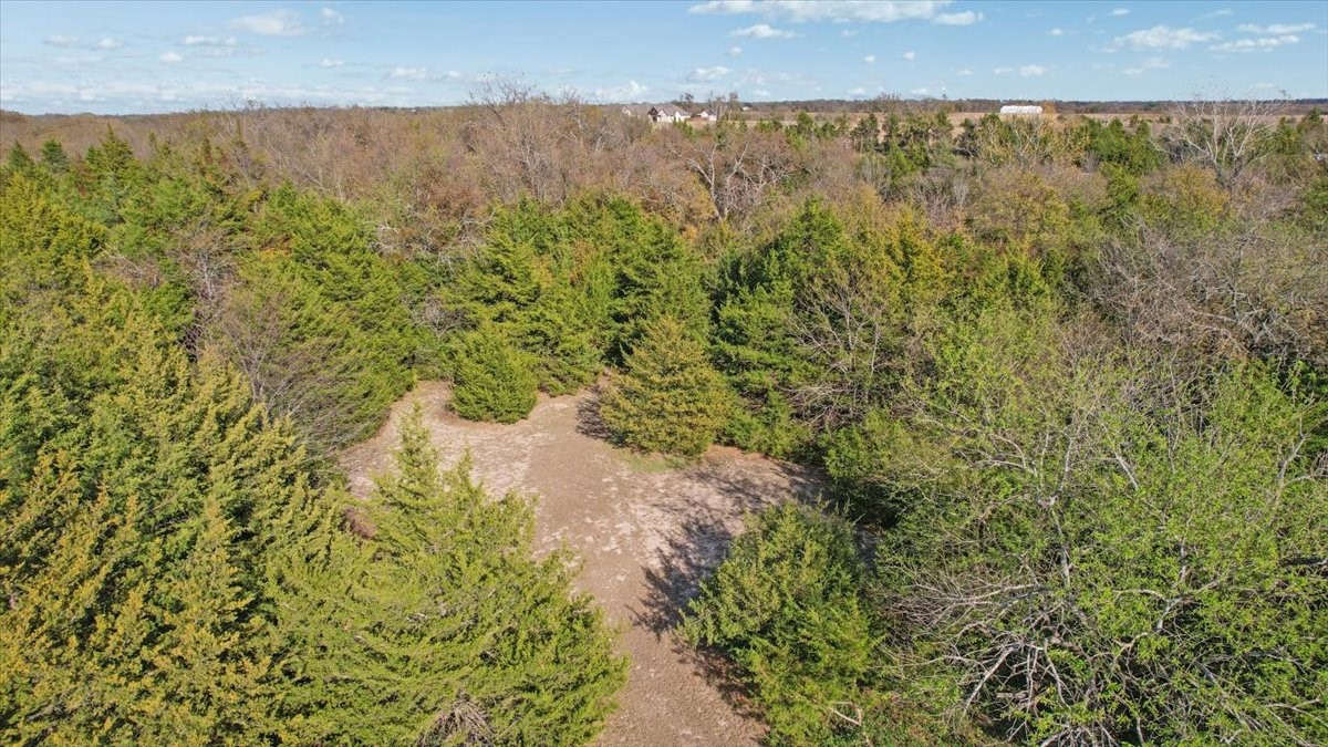 567 Celtic Howe TX 75459