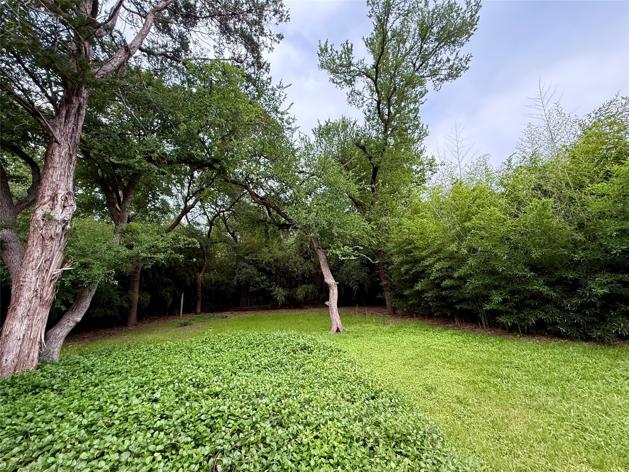 10208 Lake Gardens Drive Dallas TX 75218