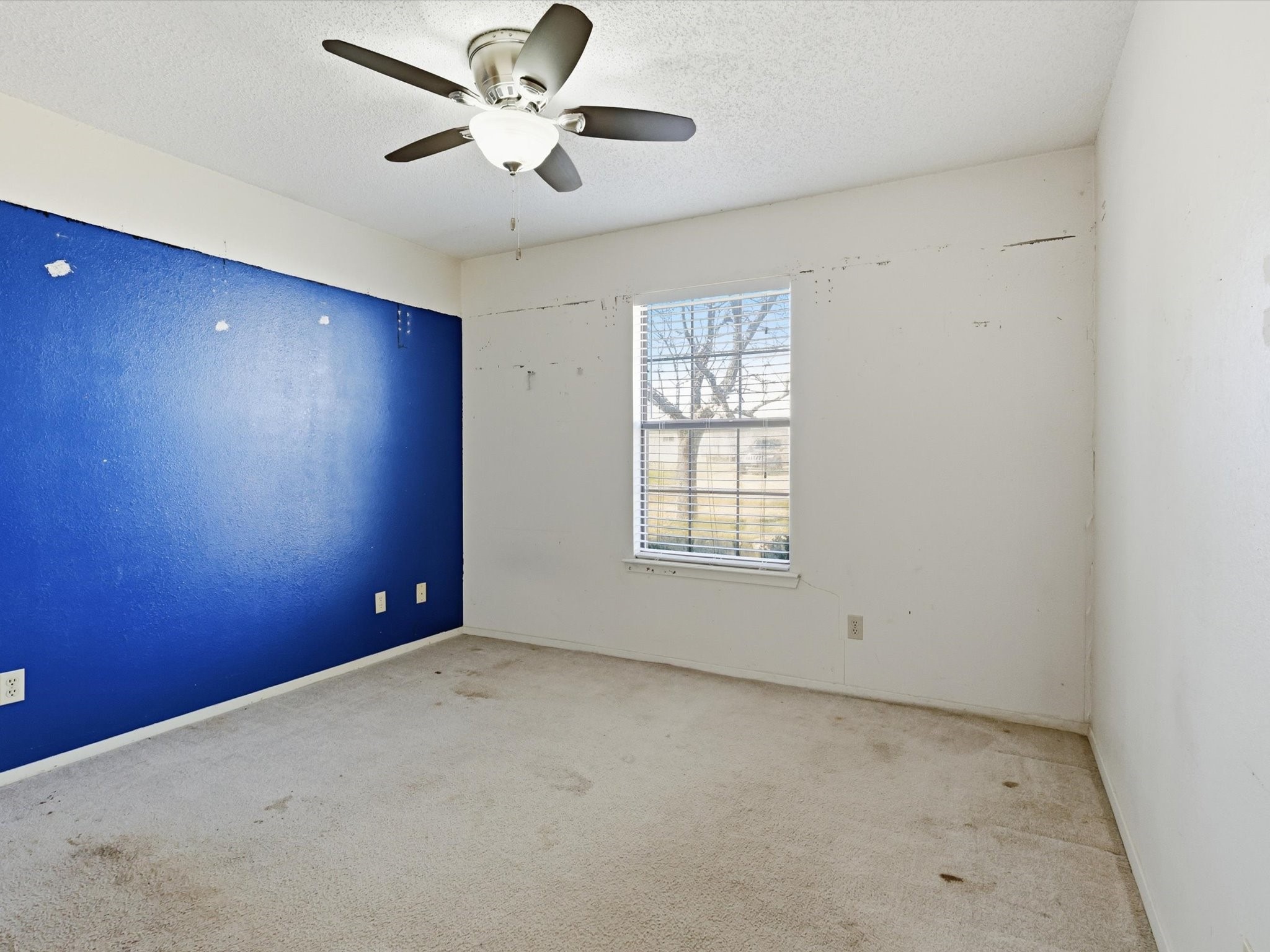 701 S College Street Celeste TX 75423
