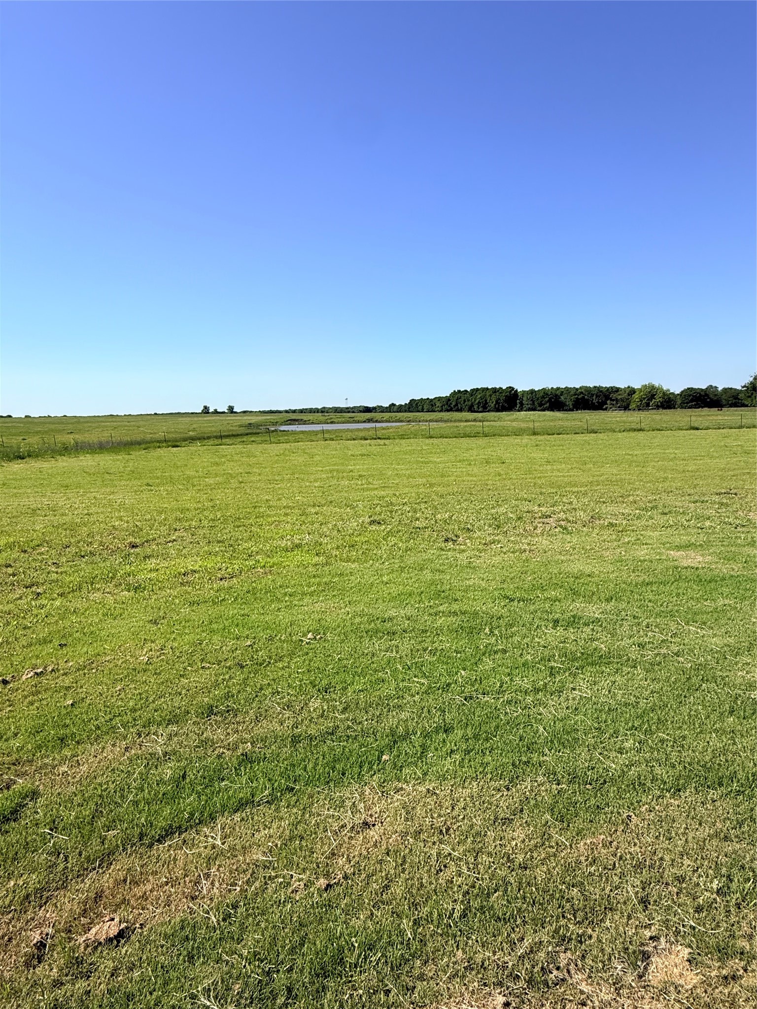 501 Alondrita Street Celeste TX 75423