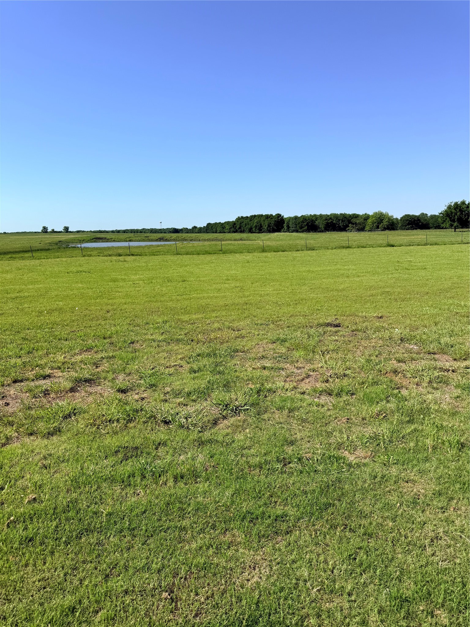 501 Alondrita Street Celeste TX 75423