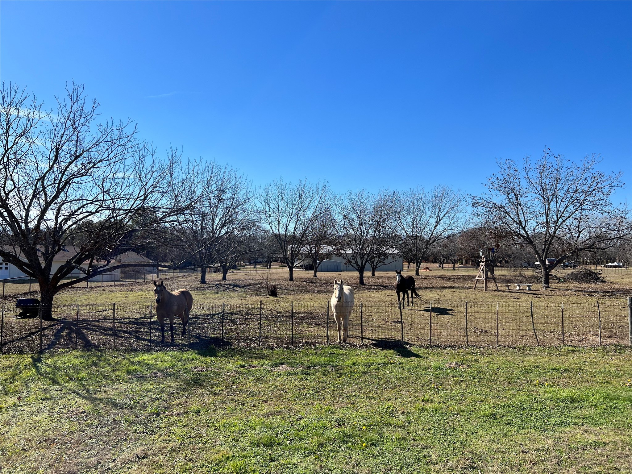 3208 N Roadrunner Court Granbury TX 76049