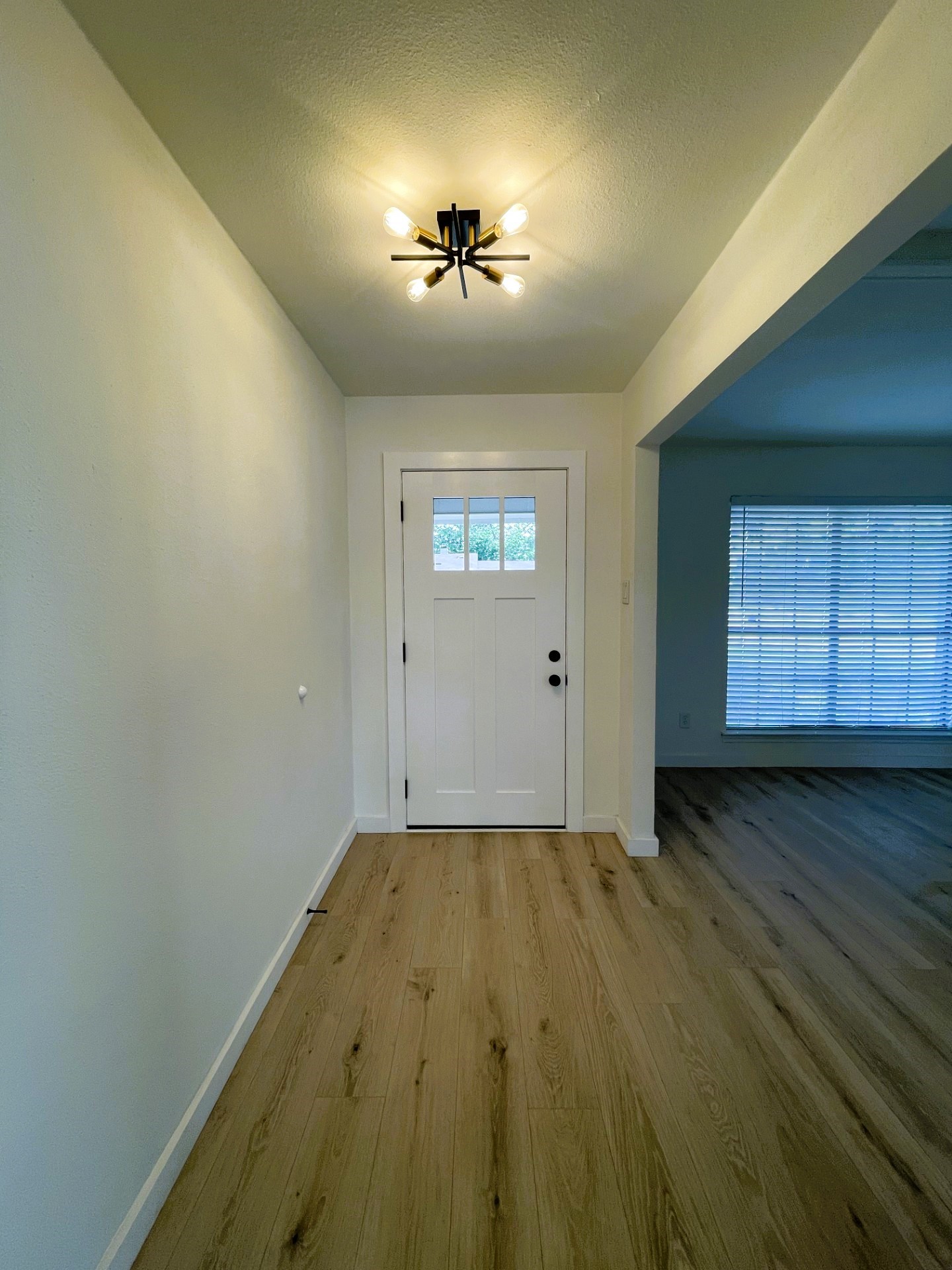 1001 Harness Lane Richardson TX 75081